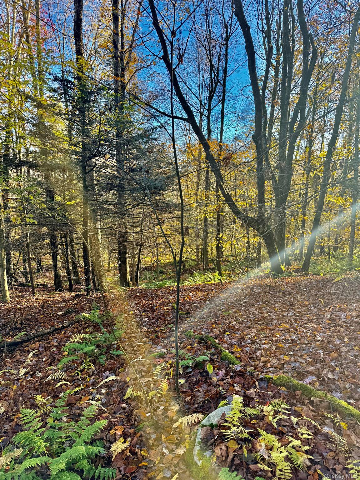 Tr 4, Fremont Center, NY 12736