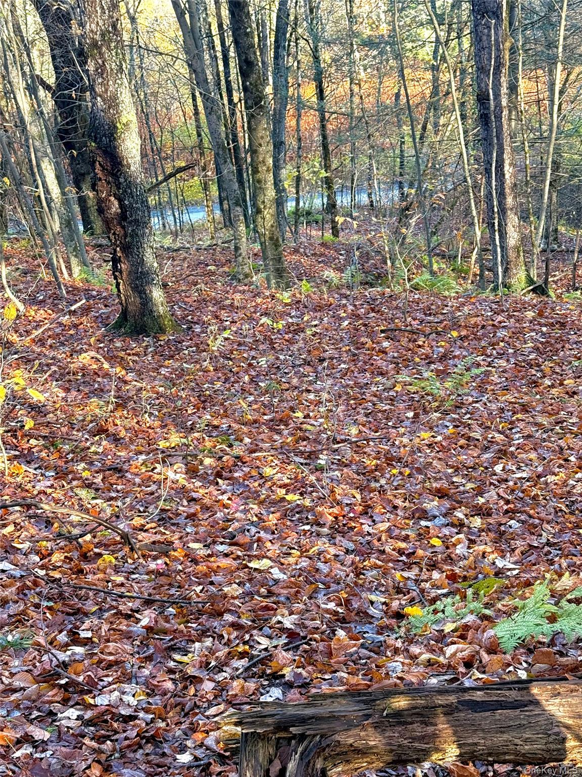 Tr 4, Fremont Center, NY 12736