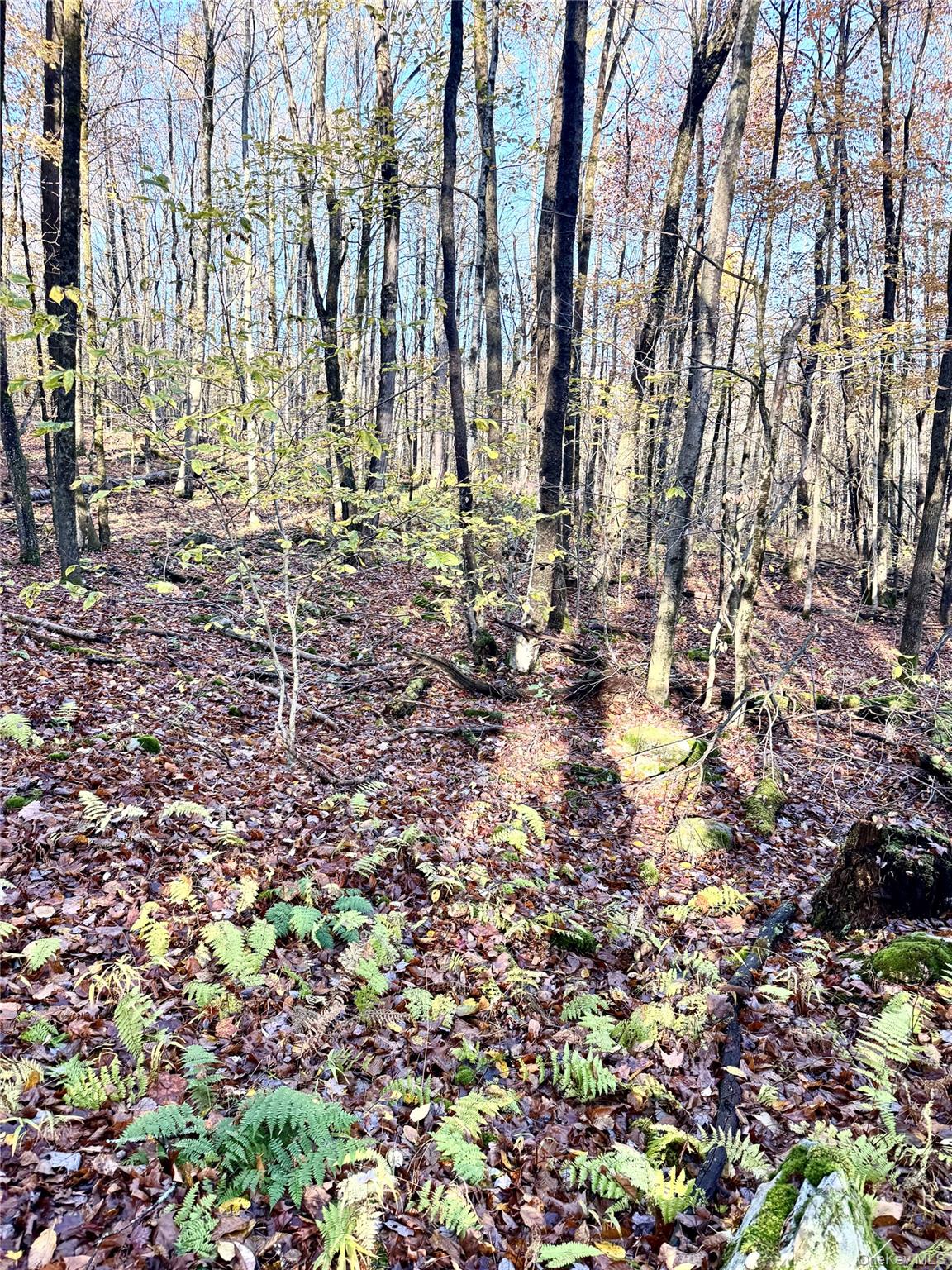 Tr 4, Fremont Center, NY 12736