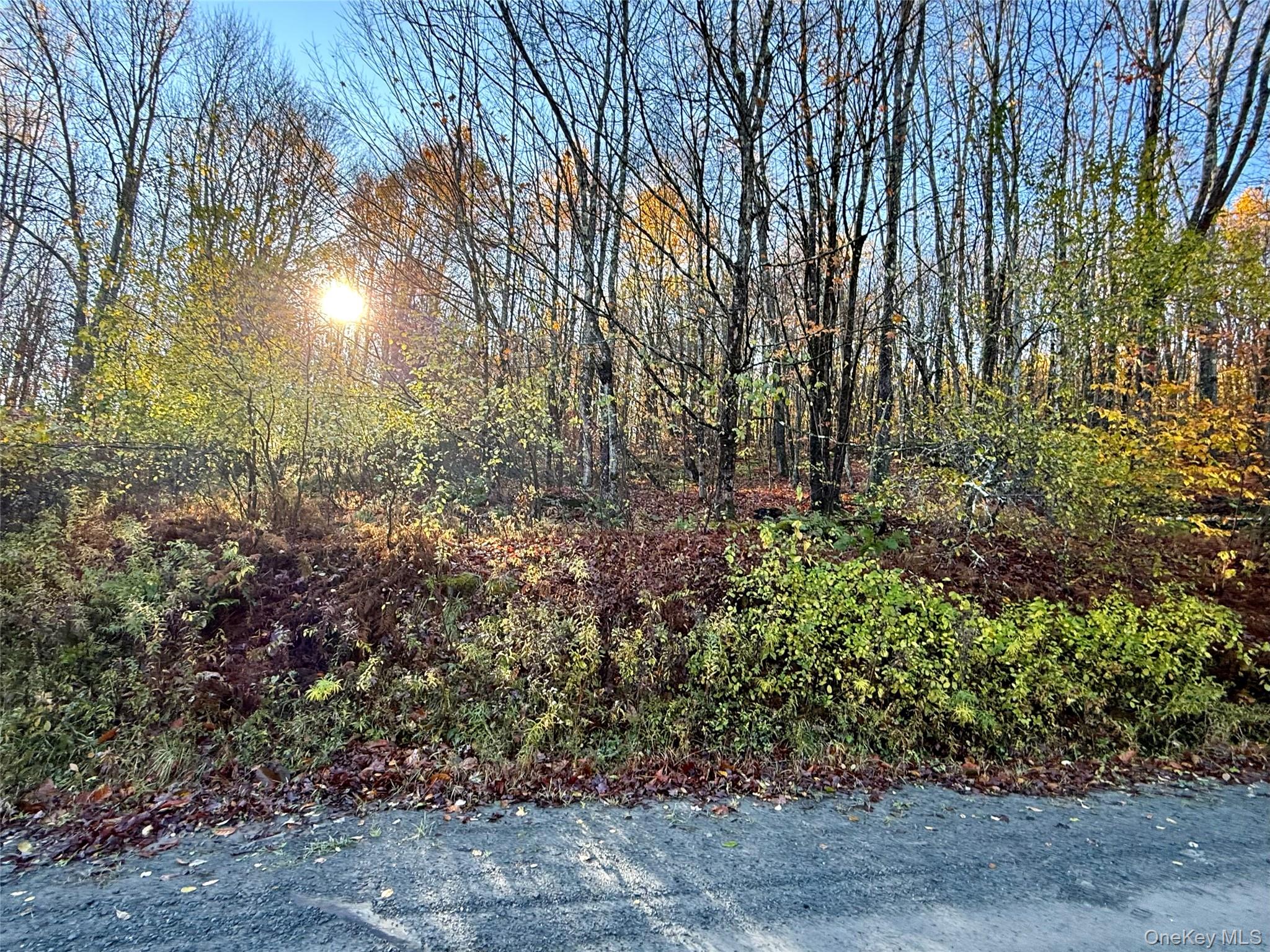 Tr 4, Fremont Center, NY 12736