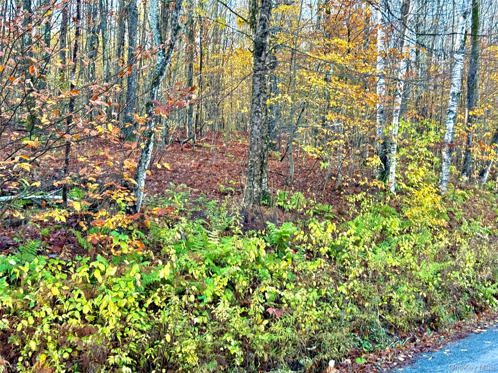 Tr 4, Fremont Center, NY 12736