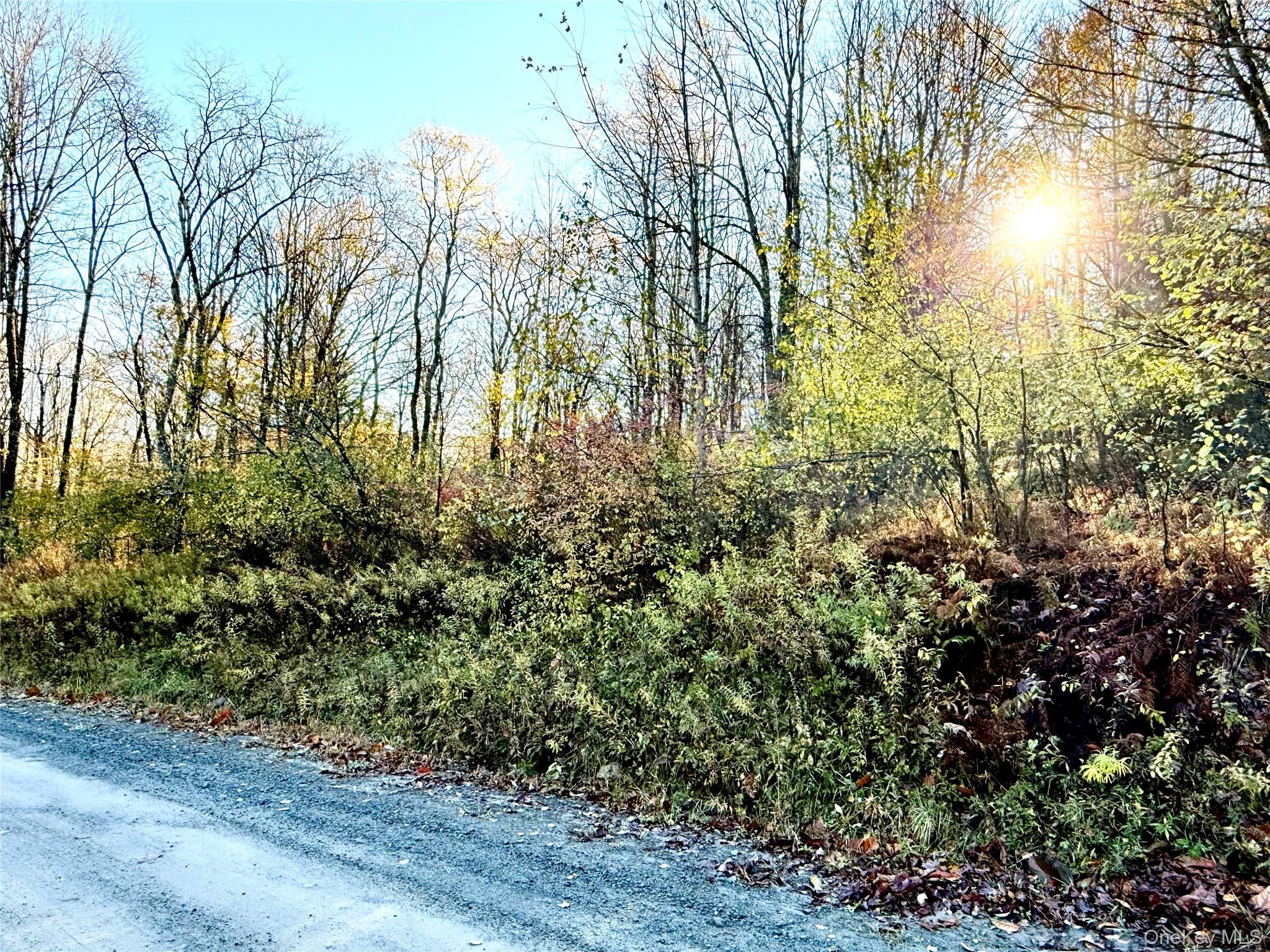 Tr 4, Fremont Center, NY 12736