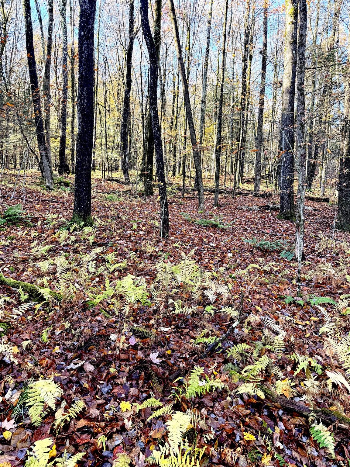 Tr 4, Fremont Center, NY 12736