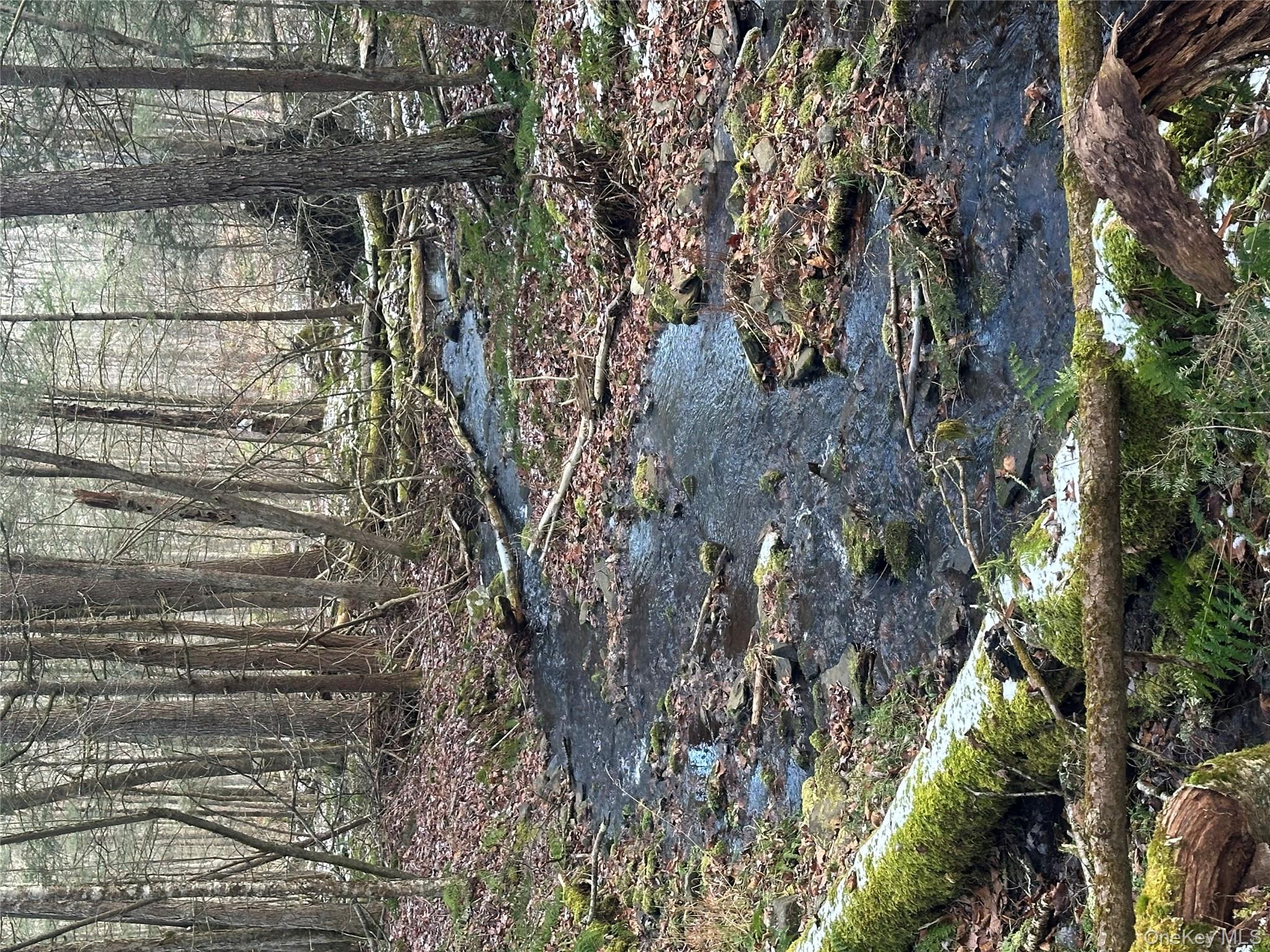 Tr 4, Fremont Center, NY 12736