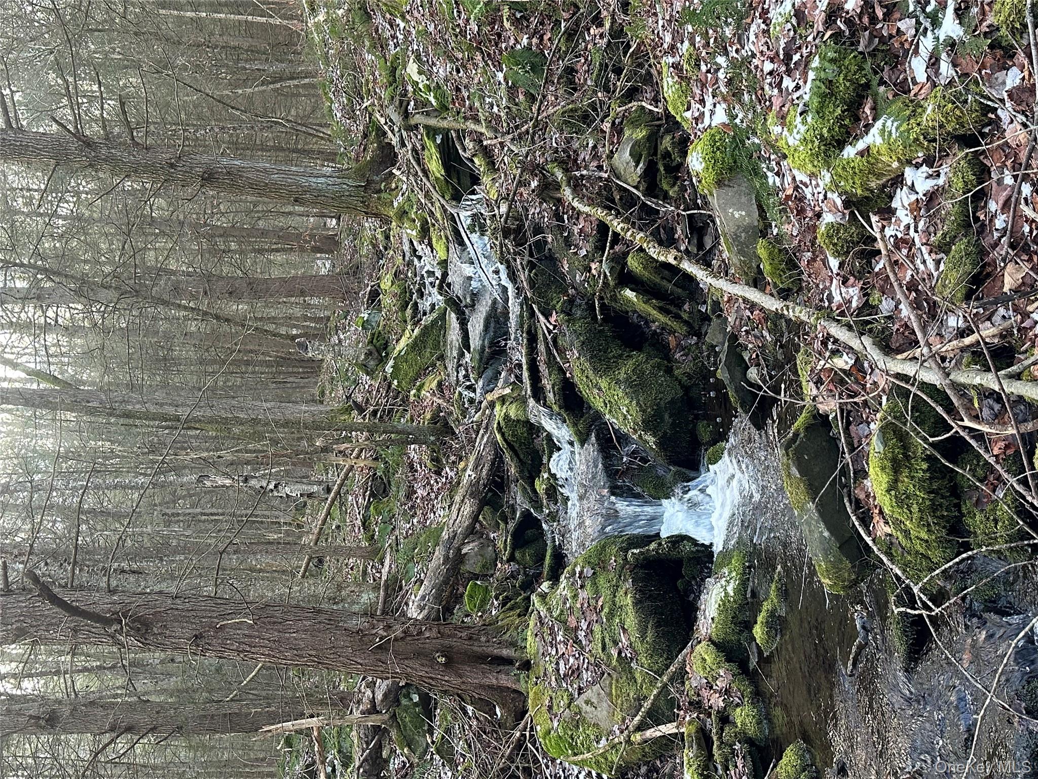 Tr 4, Fremont Center, NY 12736