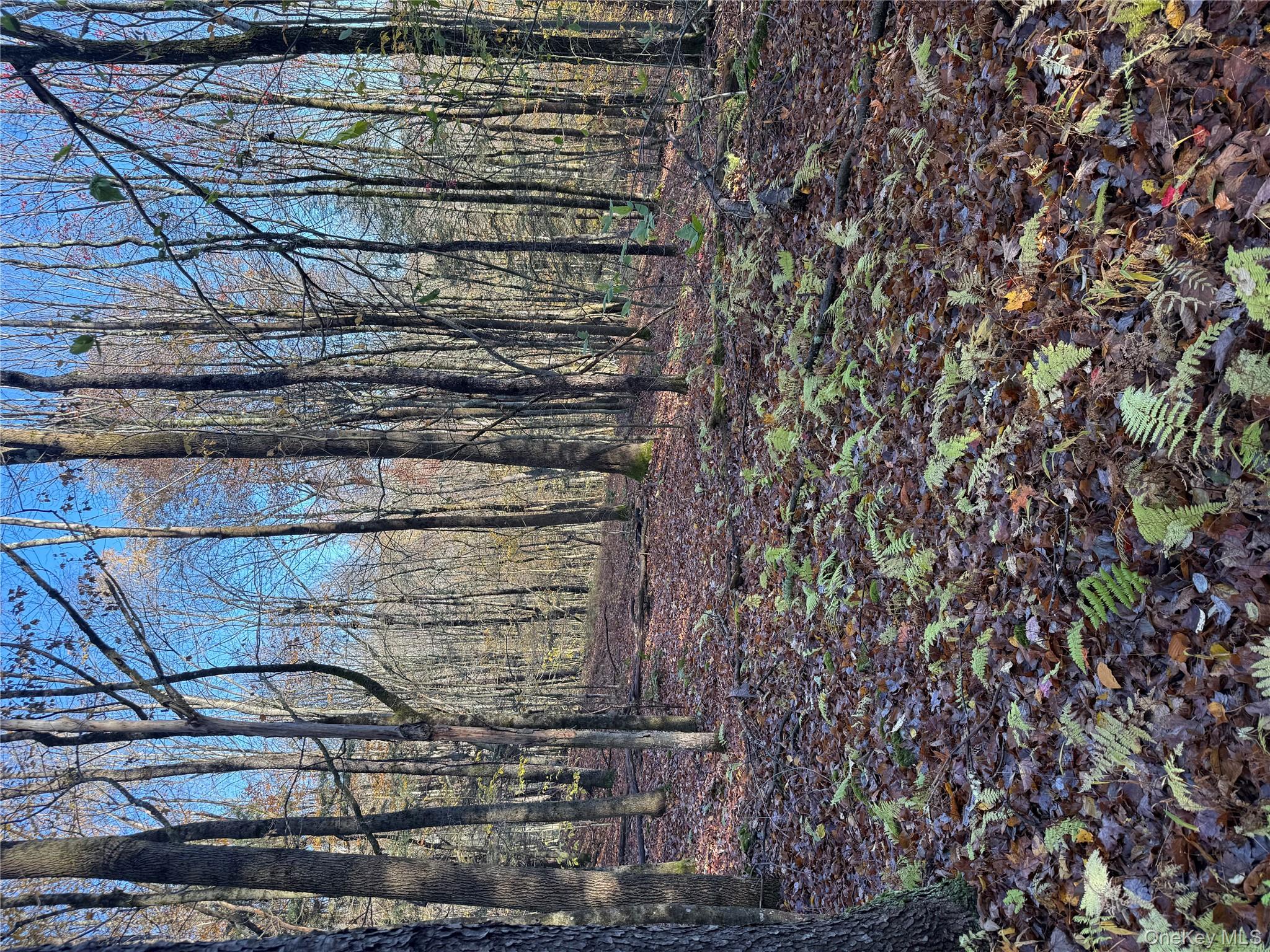 Tr 4, Fremont Center, NY 12736