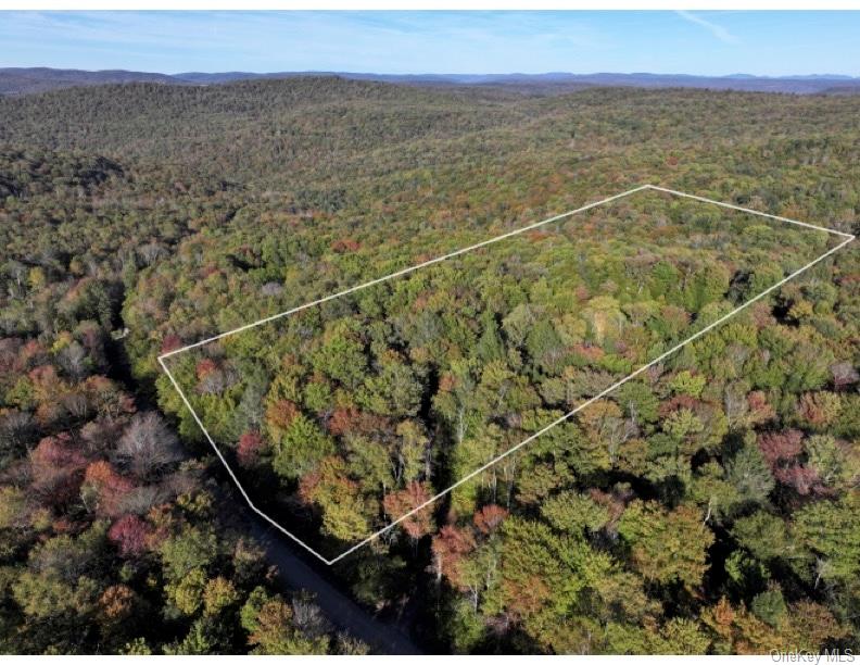 Tr 4, Fremont Center, NY 12736