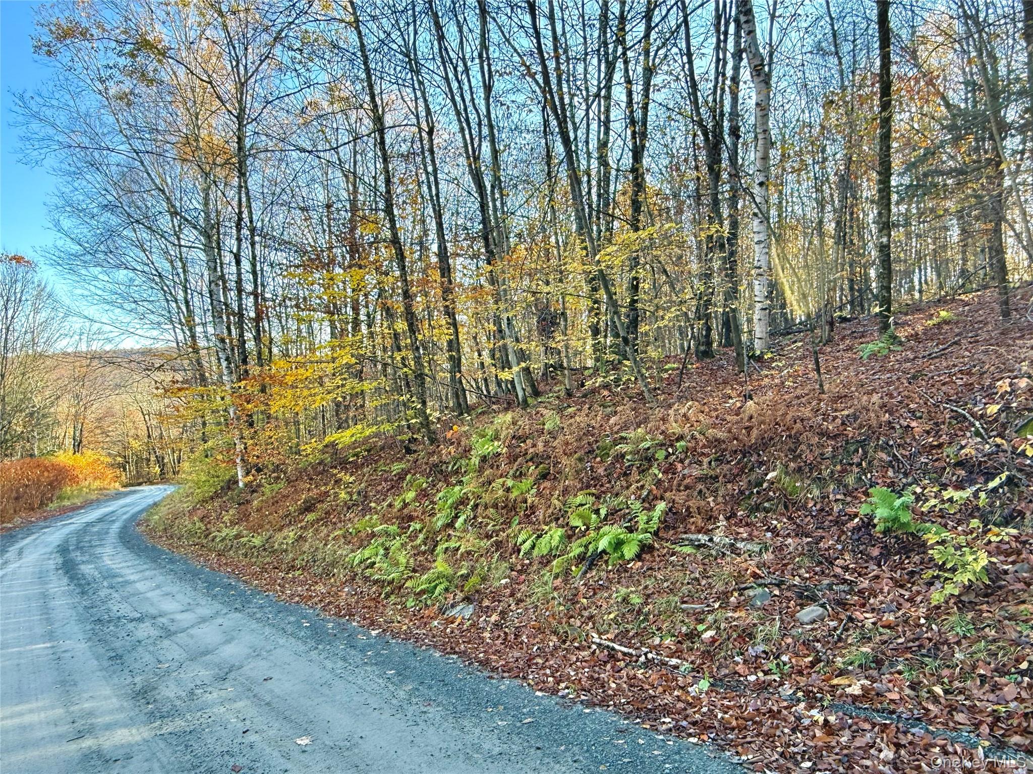 Tr 4, Fremont Center, NY 12736