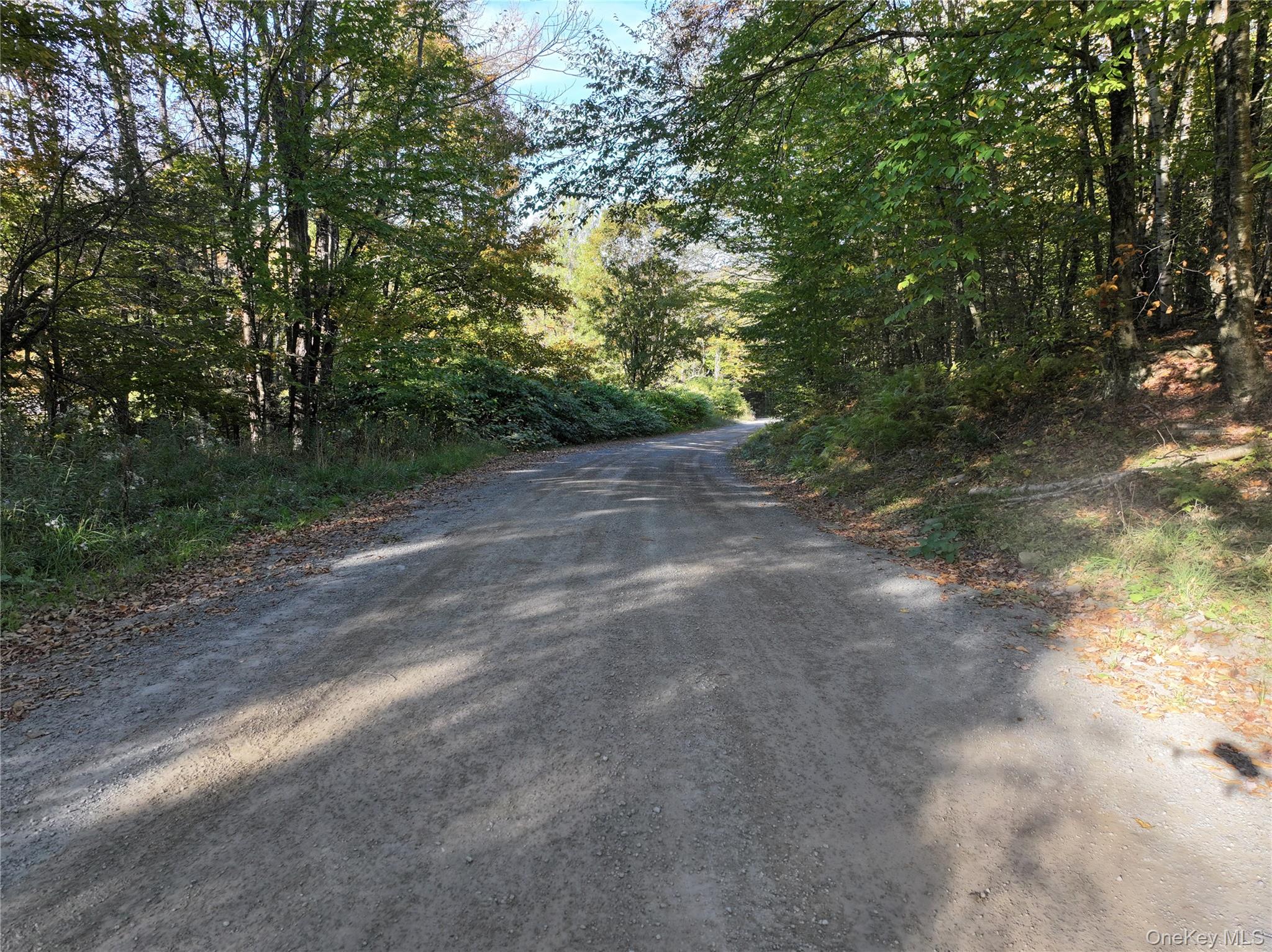 Tr 4, Fremont Center, NY 12736