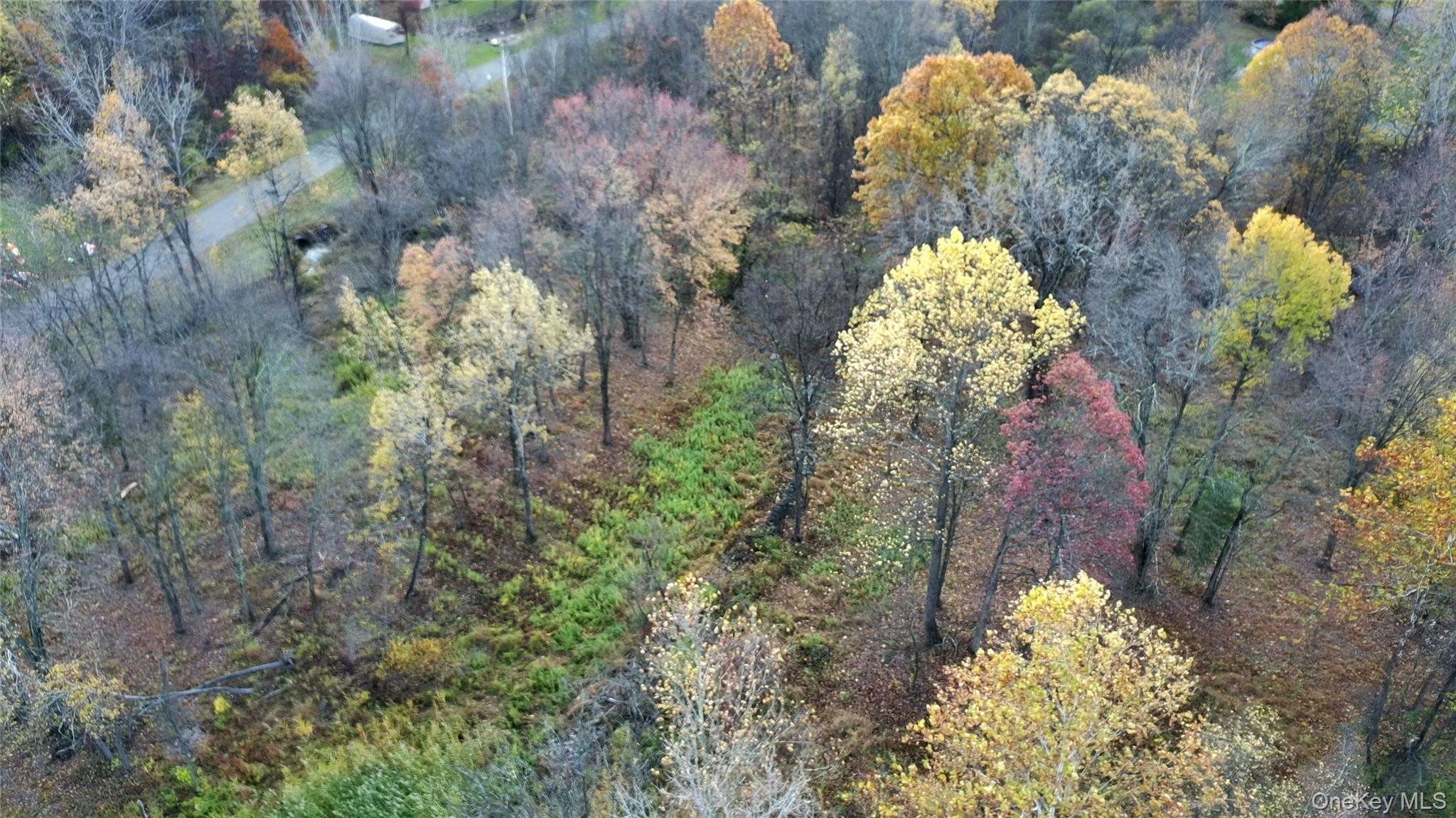 TBD Evy/Chestnut Lane, Milton, NY 12547