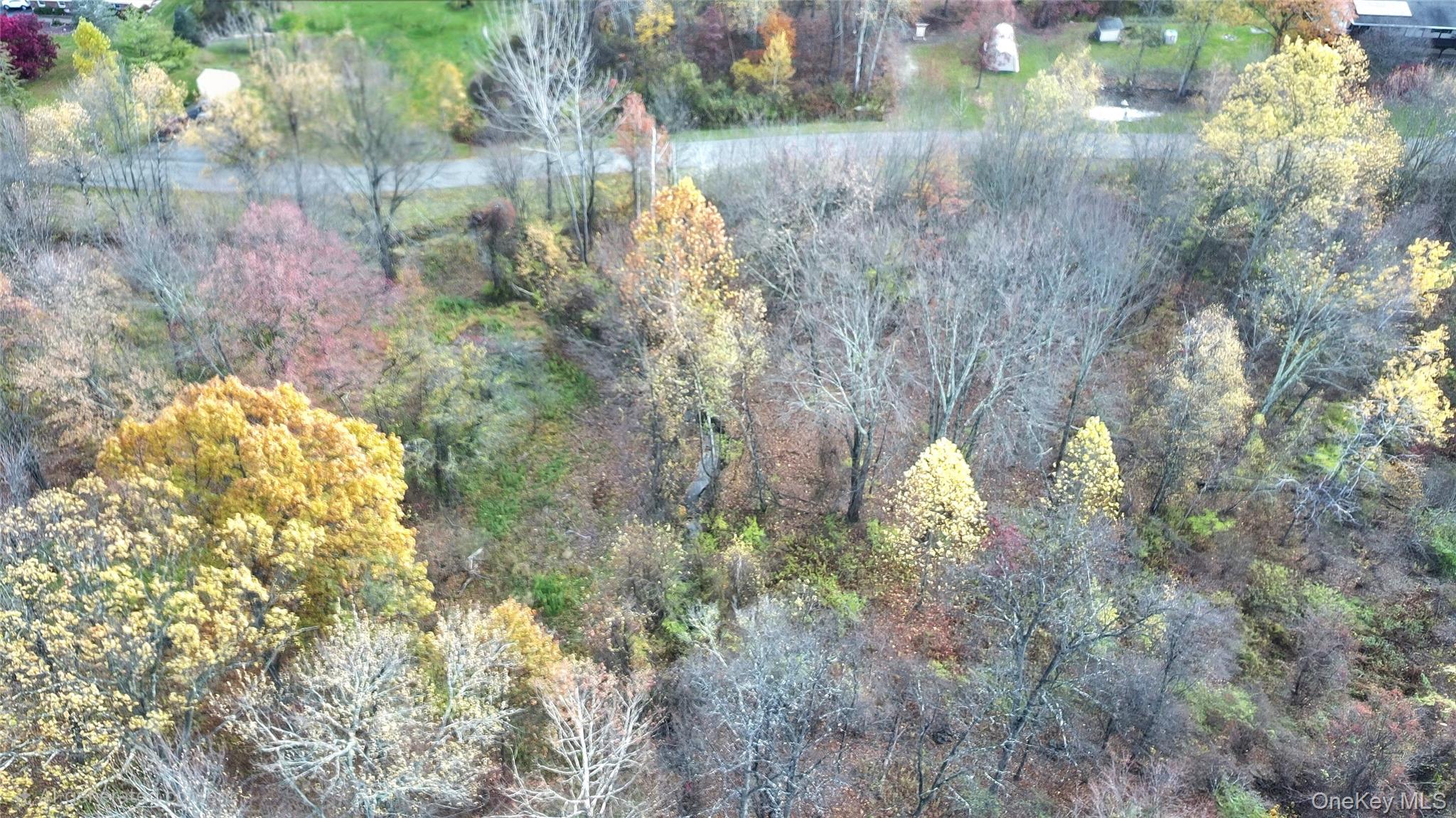 TBD Evy/Chestnut Lane, Milton, NY 12547