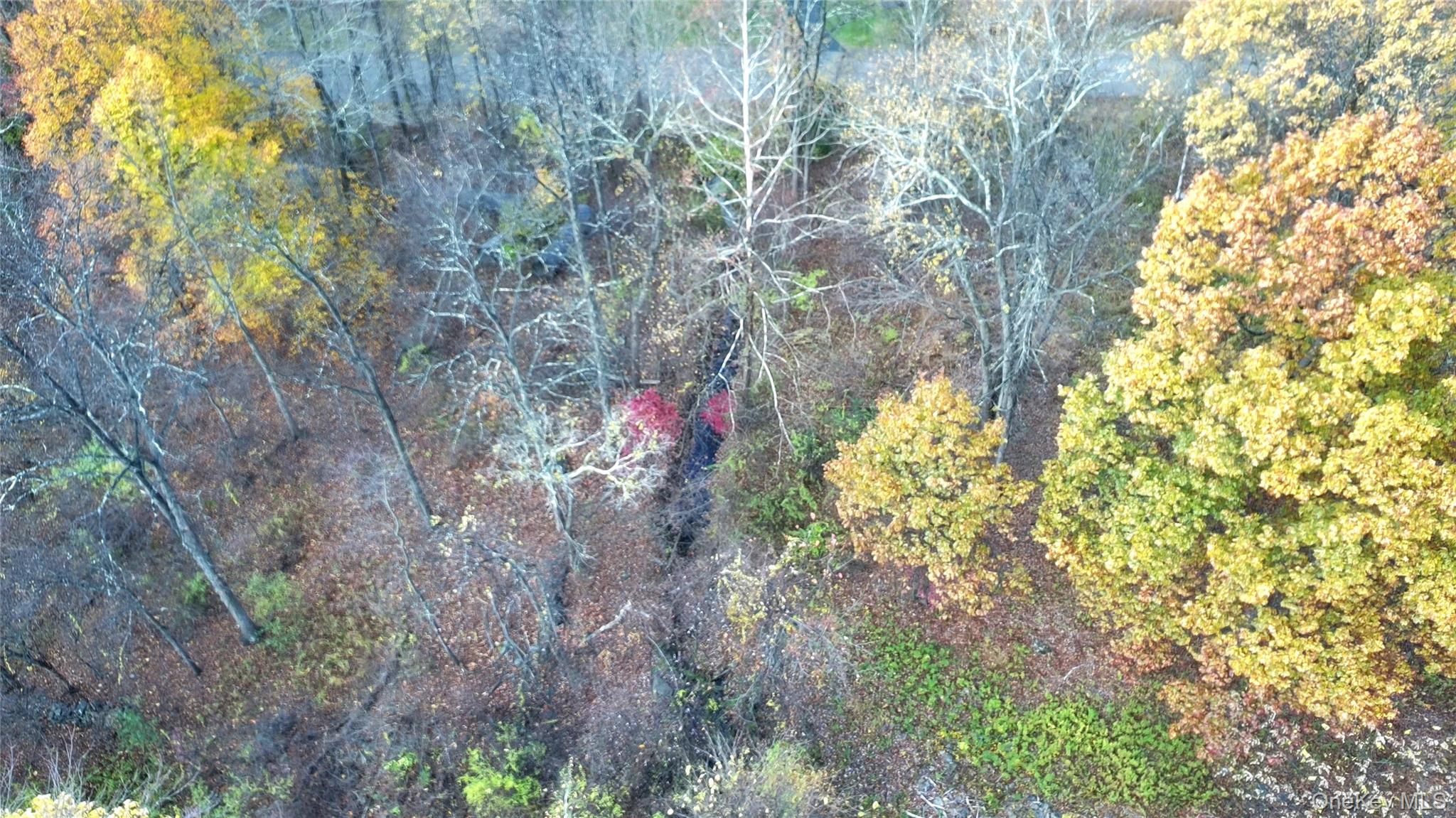 TBD Evy/Chestnut Lane, Milton, NY 12547