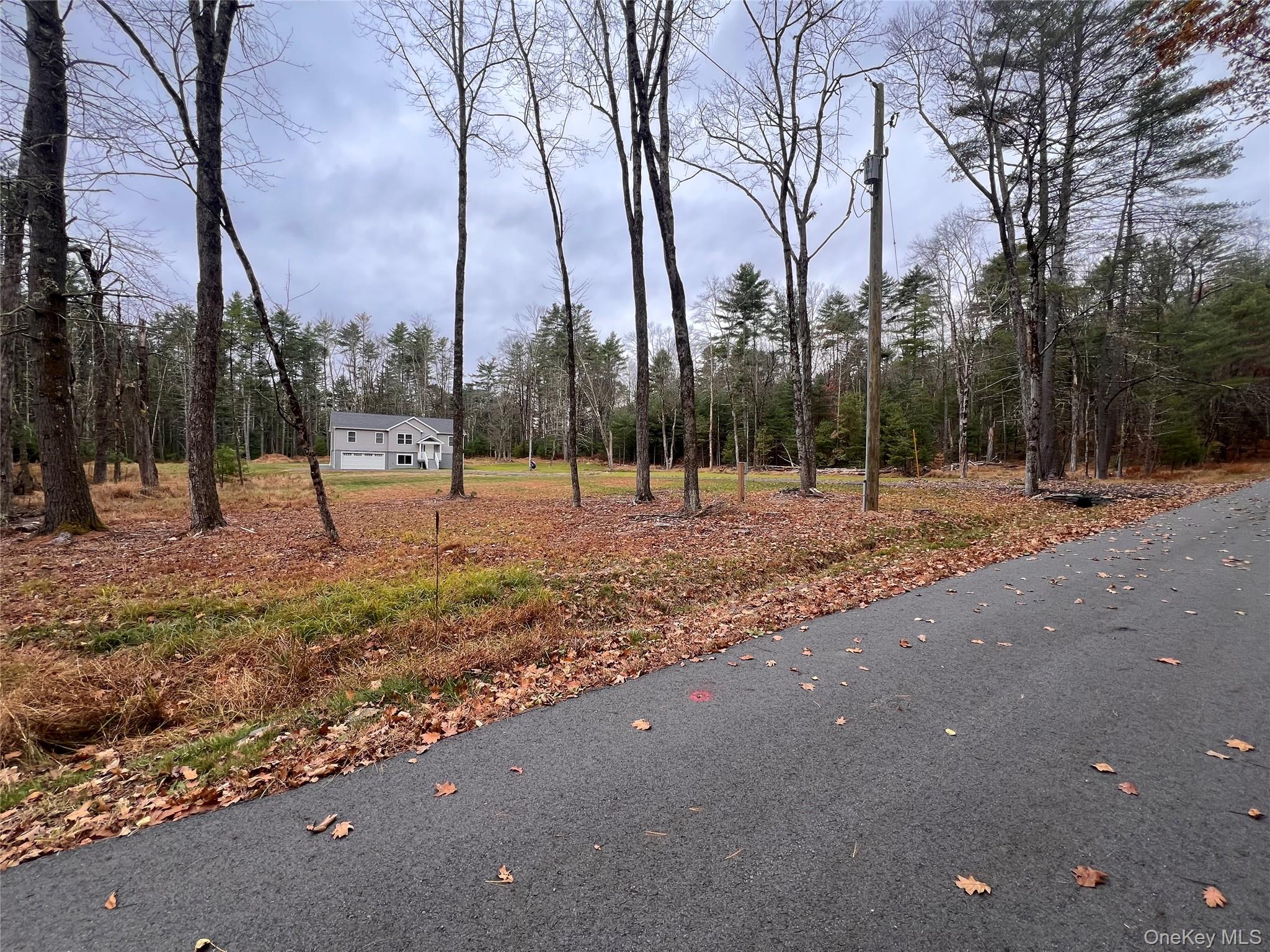 26 Summit Drive, Barryville, NY 12719