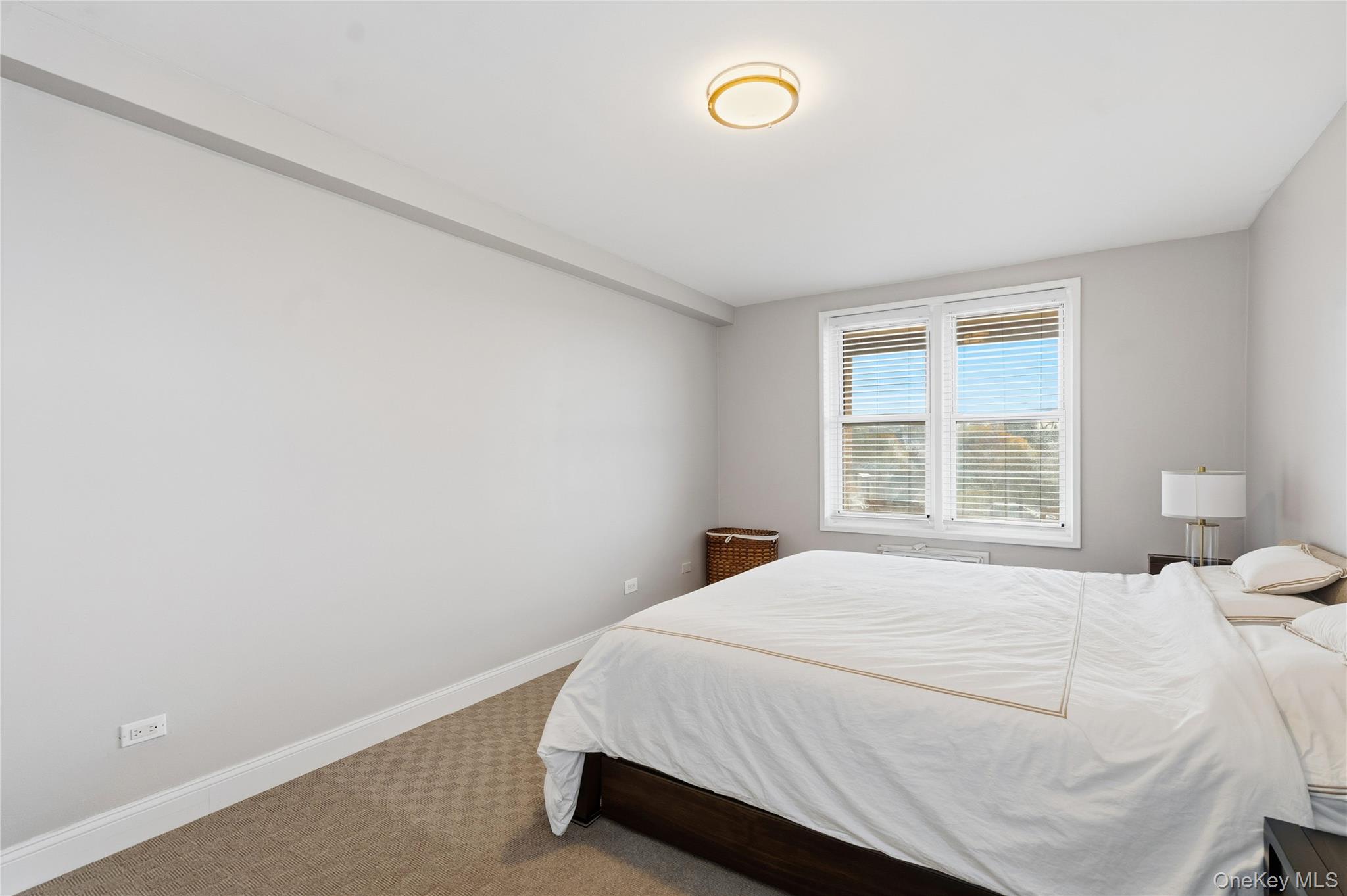 241-20 Northern Boulevard # # 5-B, Douglaston, NY 11362