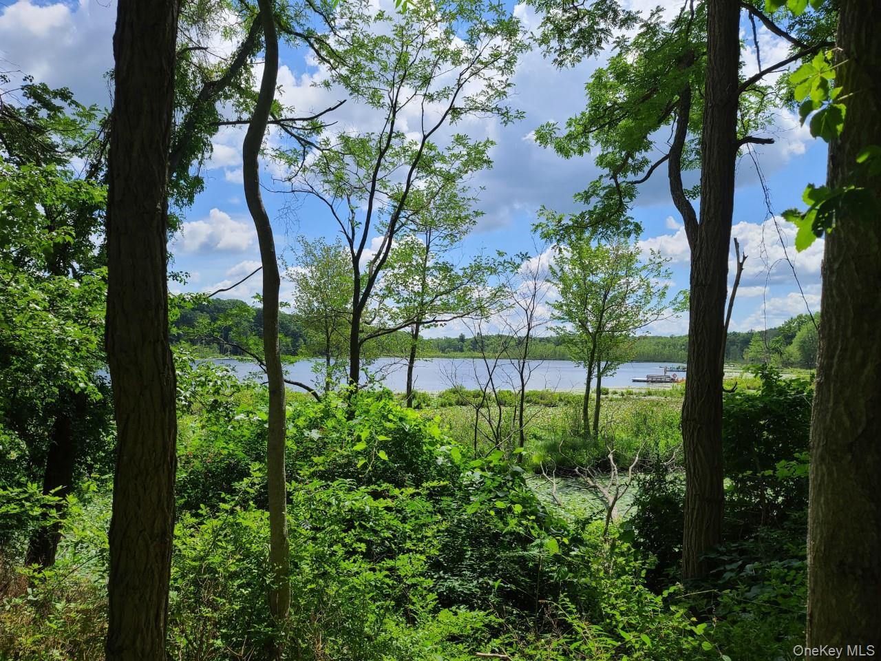 11 BEACHAM Road, Rhinebeck, NY 12572