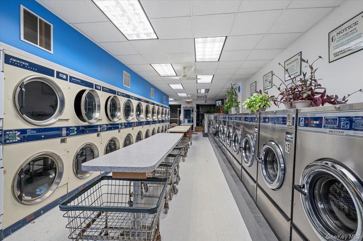 213-215 Mineola Boulevard, Mineola, NY 11501