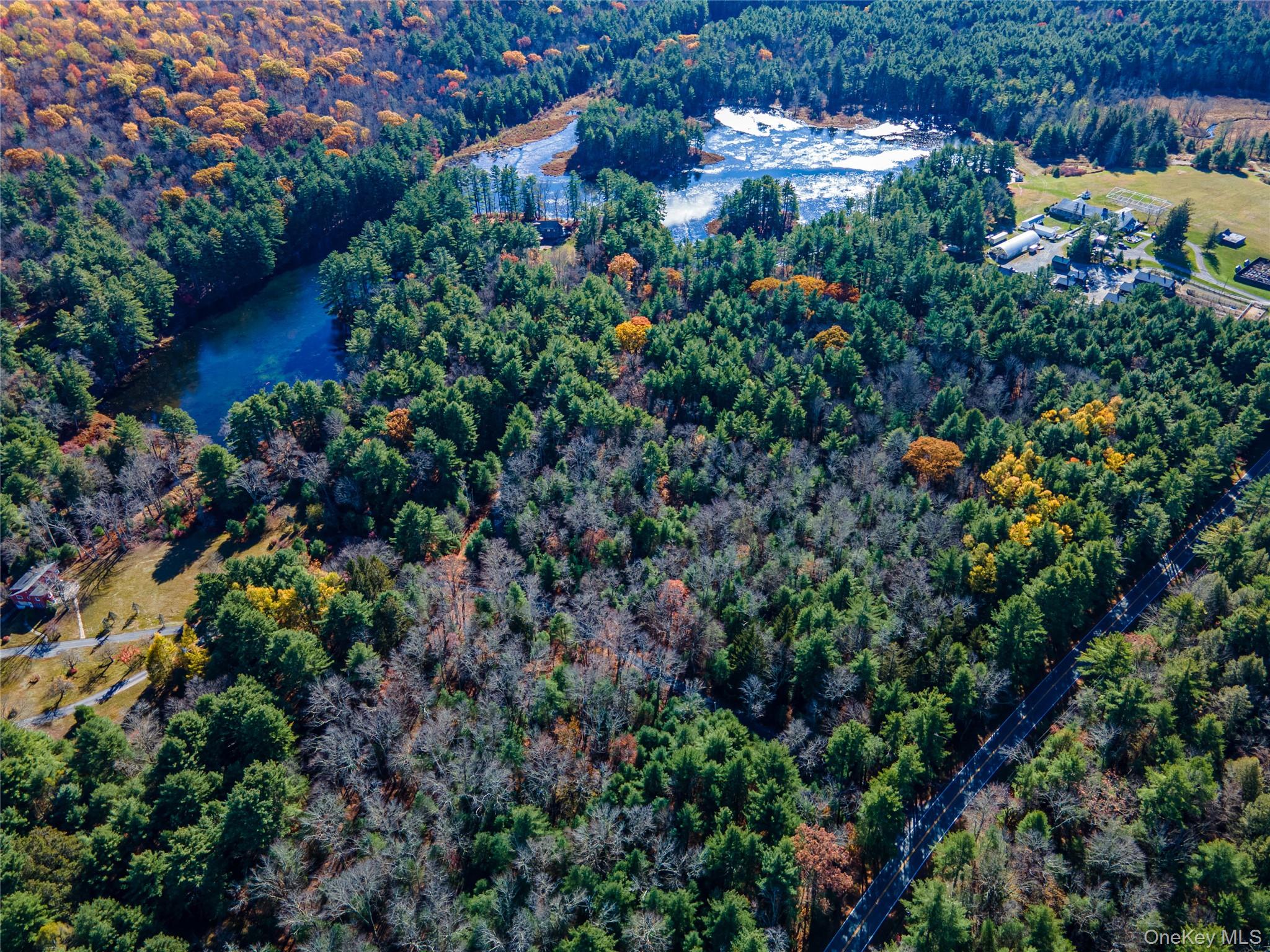 1 Philwold Road, Forestburgh, NY 12777