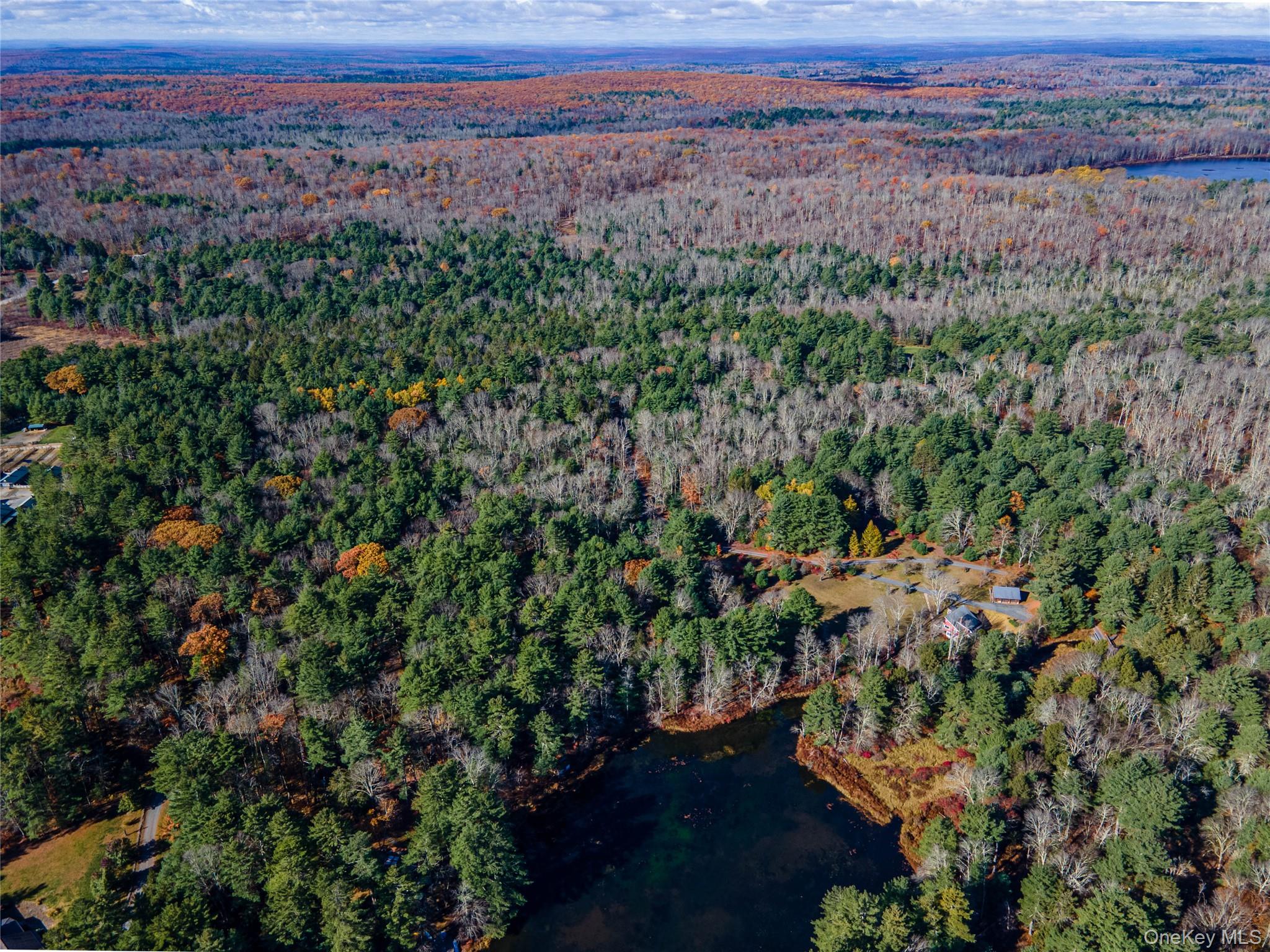 1 Philwold Road, Forestburgh, NY 12777