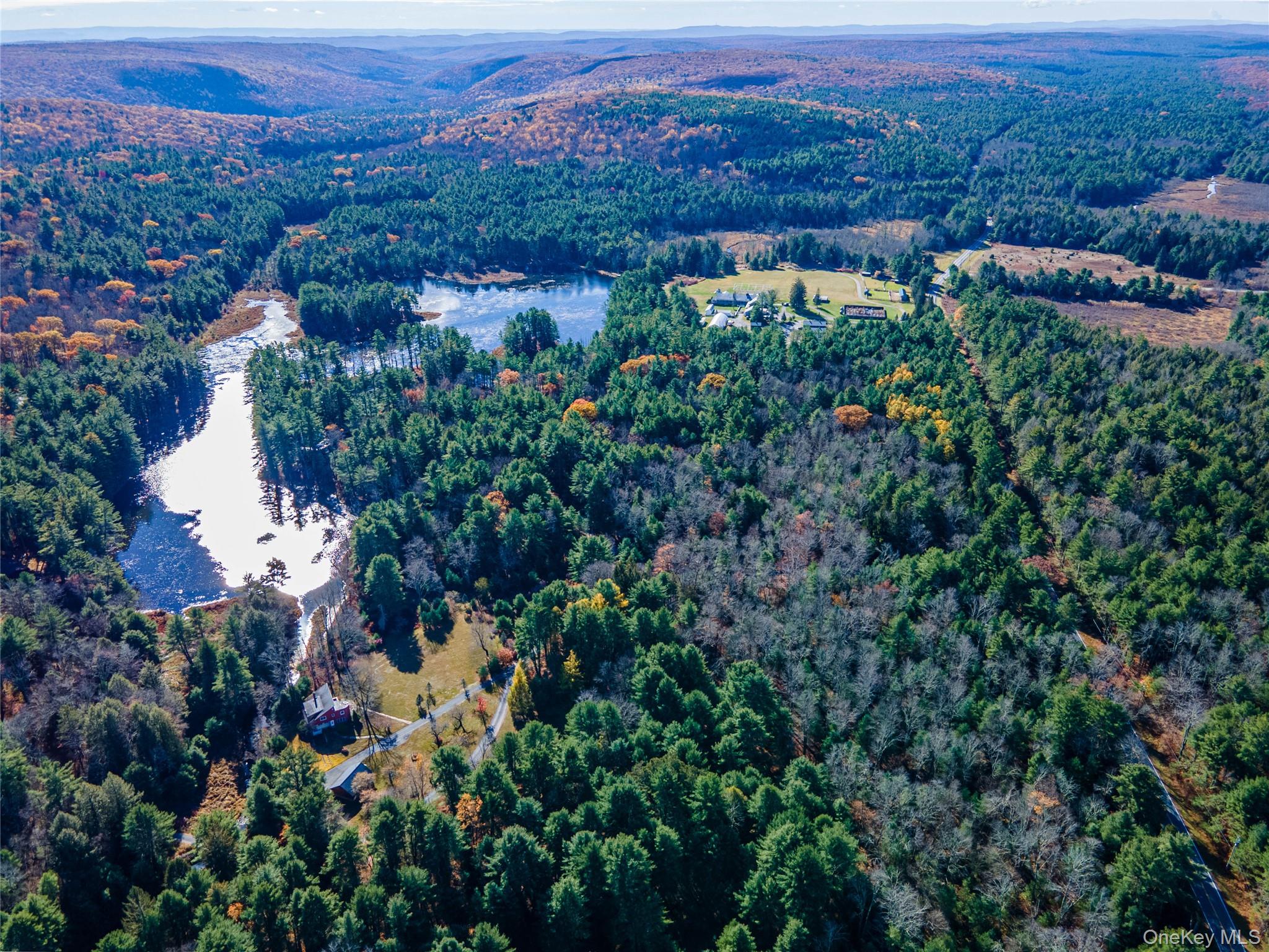 1 Philwold Road, Forestburgh, NY 12777