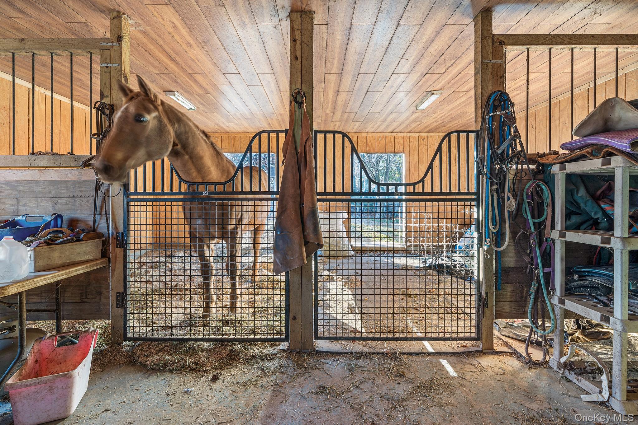 351 Atlantic Street, Central Islip, NY 11722