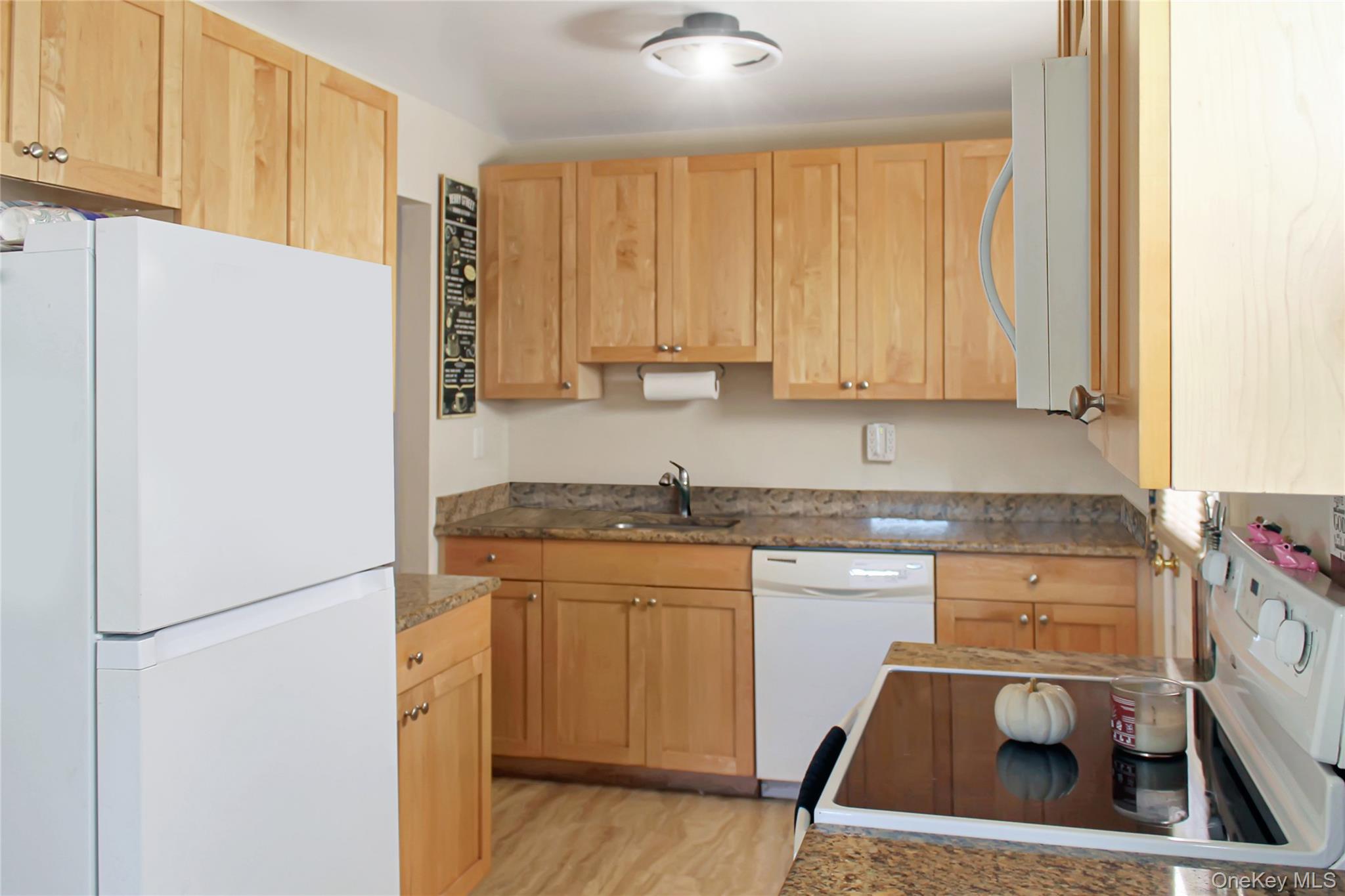 234 Nassau Boulevard, Garden City South, NY 11530