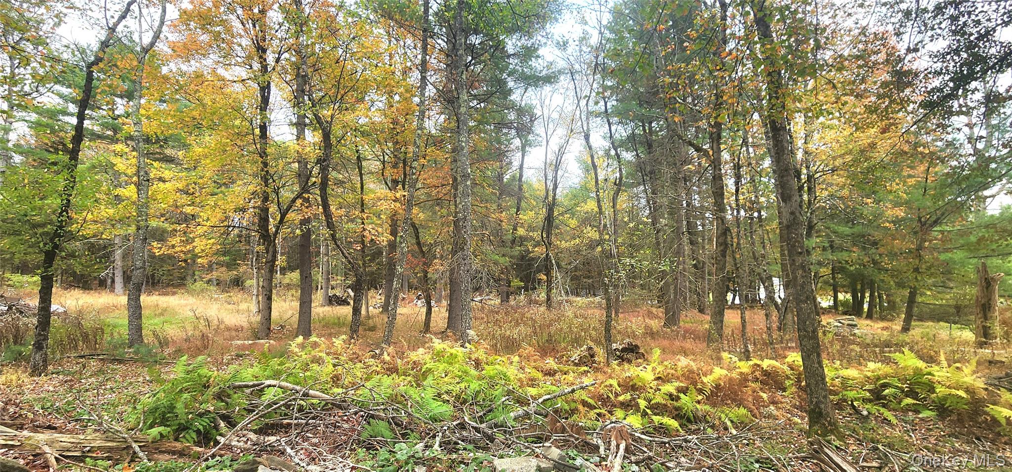 Kukas Road, Monticello, NY 12701