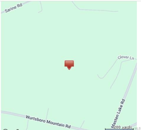 Park Avenue, Wurtsboro, NY 12790