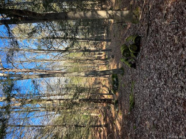 198 W Starlight Drive, Smallwood, NY 12778