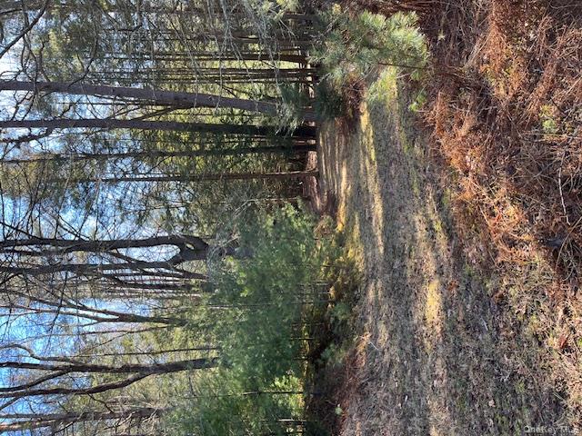 198 W Starlight Drive, Smallwood, NY 12778