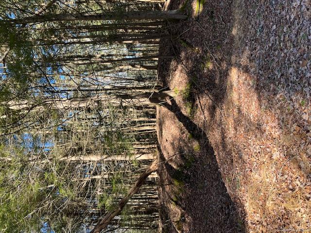 198 W Starlight Drive, Smallwood, NY 12778