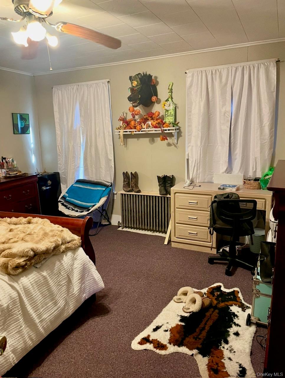 113 Harder Avenue, Cobleskill, NY 12043