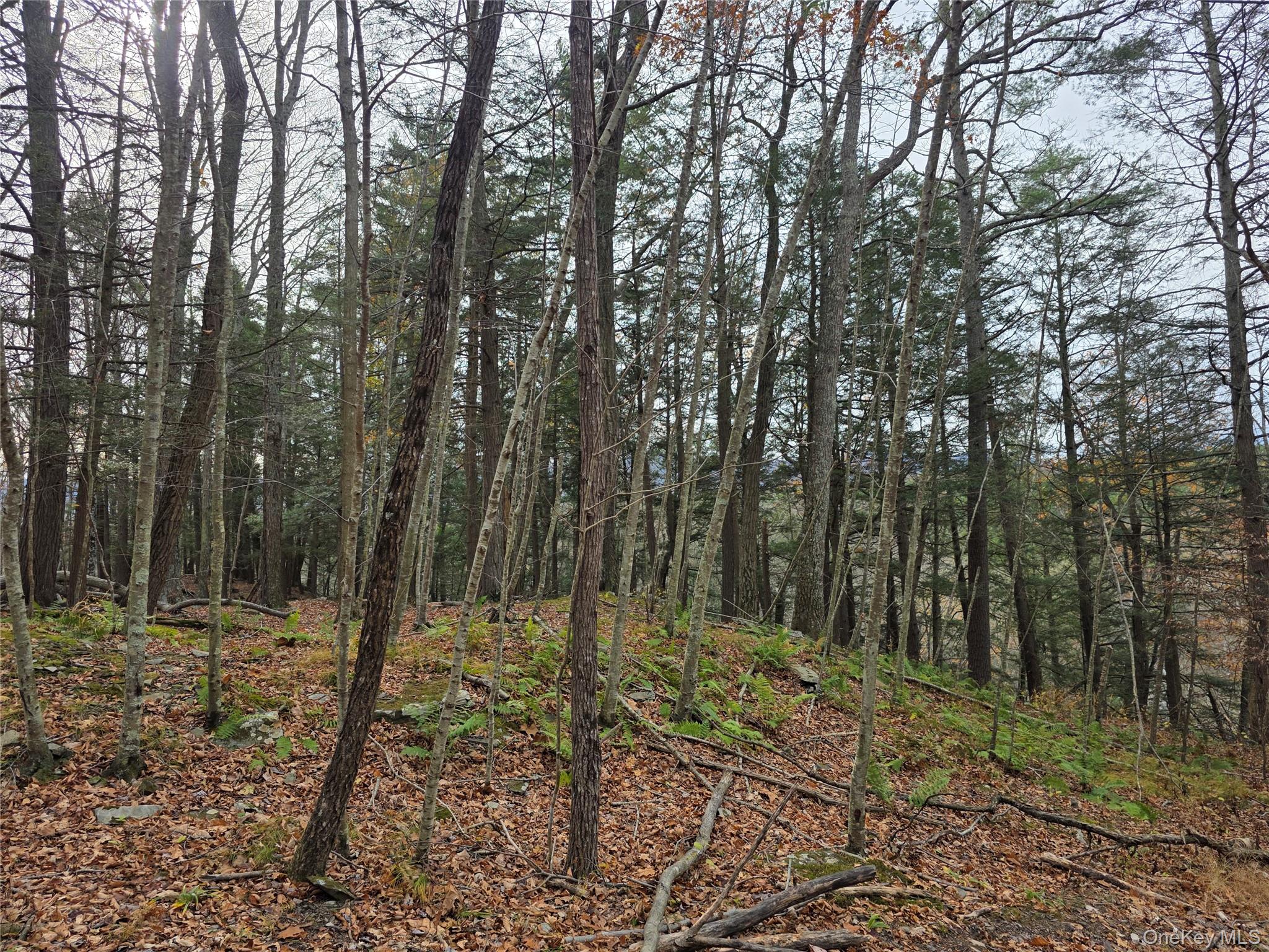 0 County Route 41, Cairo, NY 12413