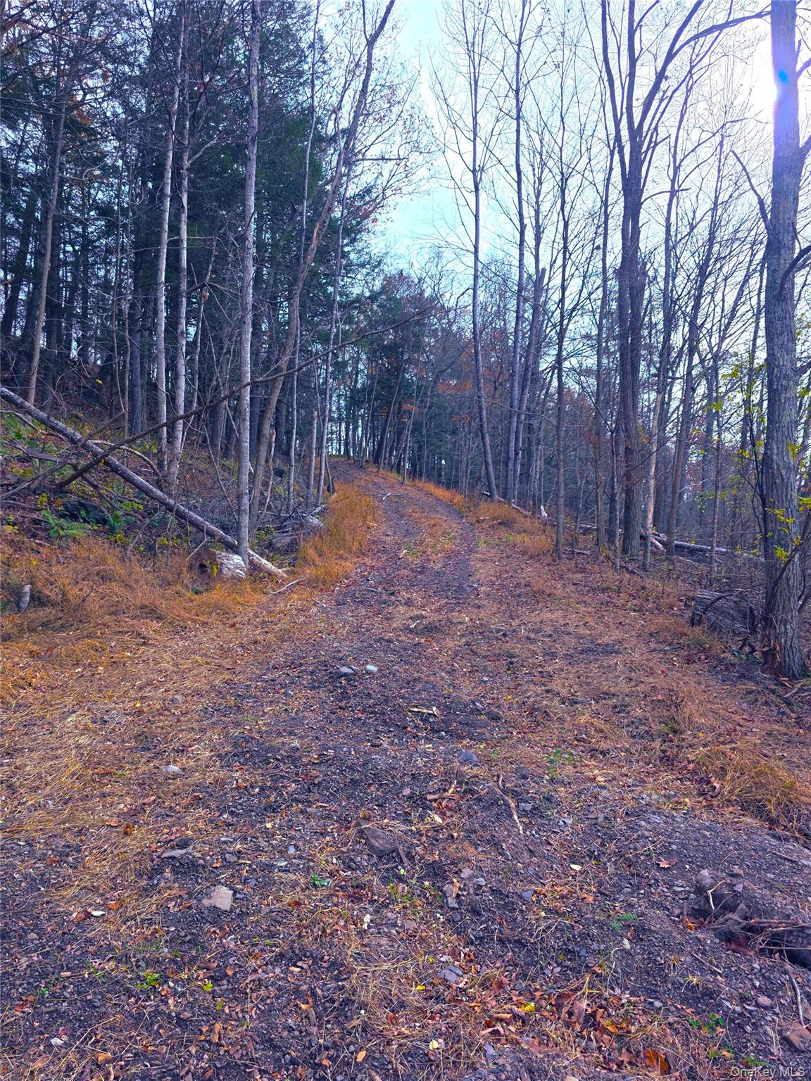 0 County Route 41, Cairo, NY 12413