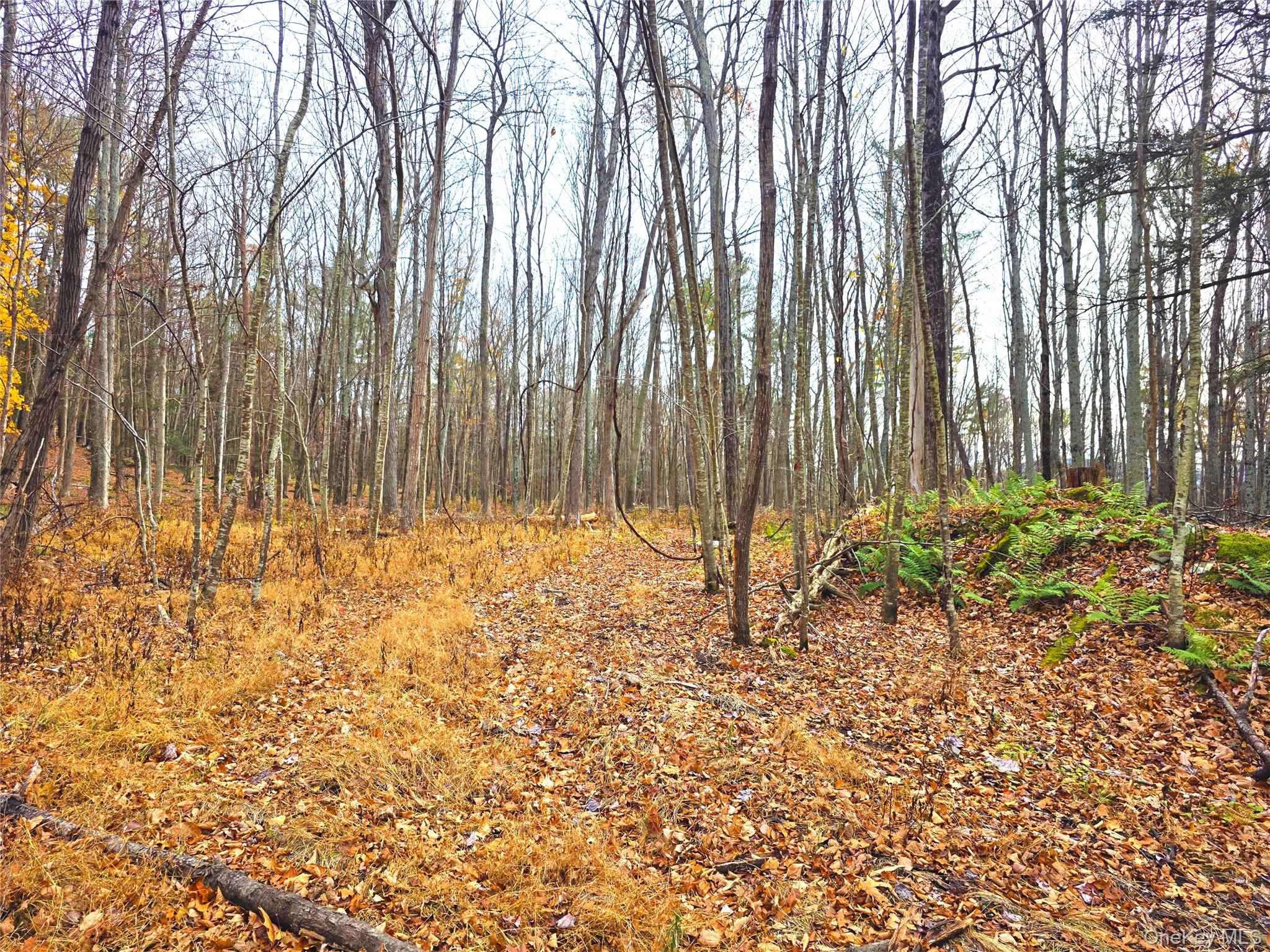 0 County Route 41, Cairo, NY 12413