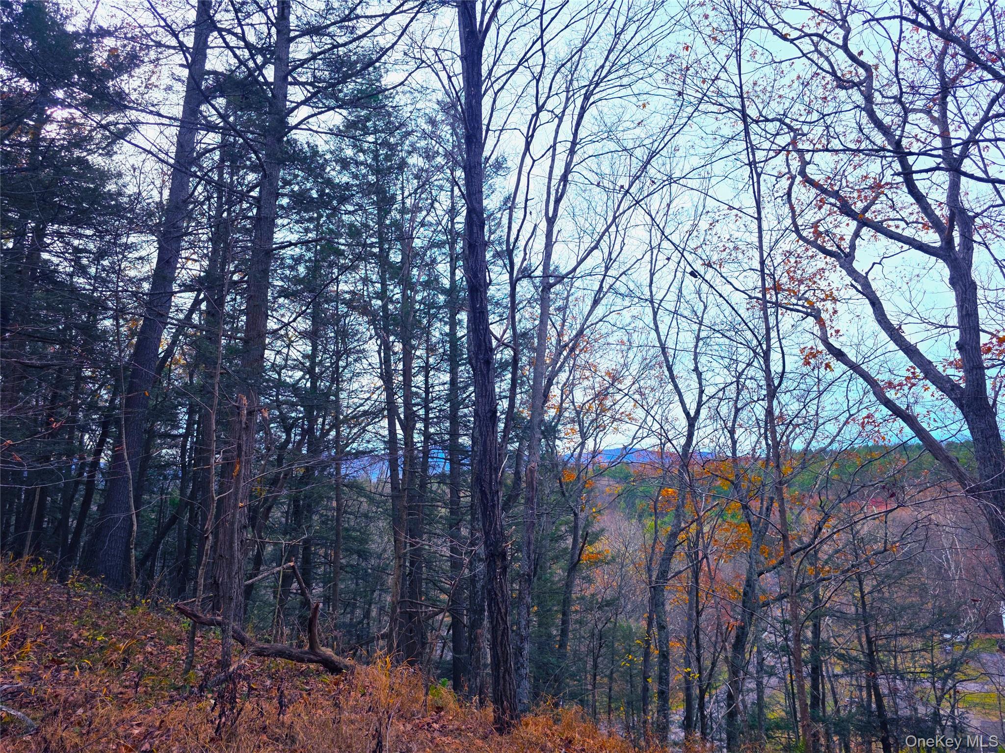 0 County Route 41, Cairo, NY 12413