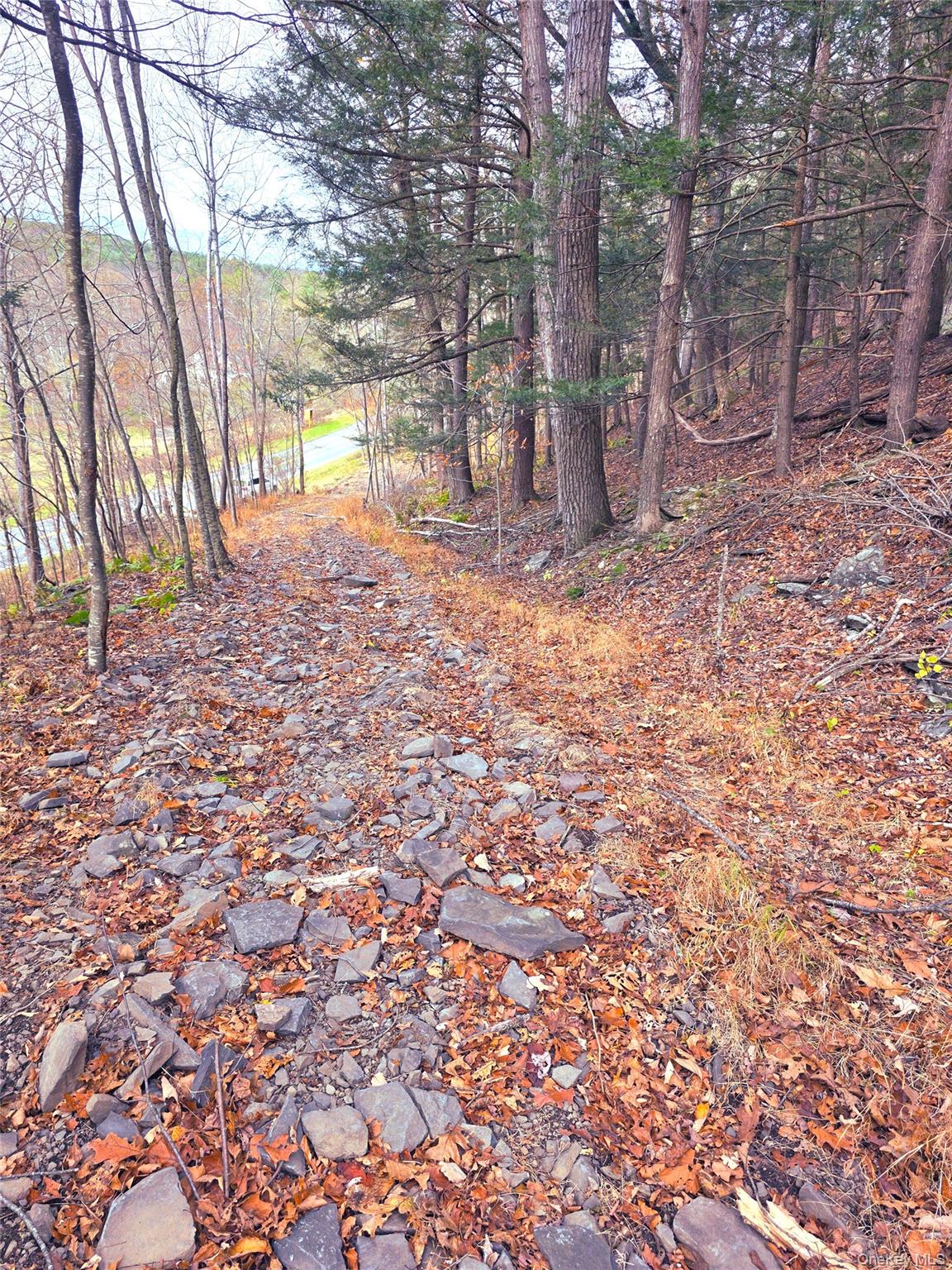 0 County Route 41, Cairo, NY 12413