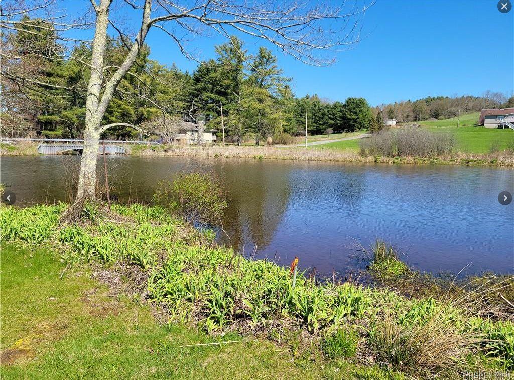 601 Briscoe Road, Bethel, NY 12783