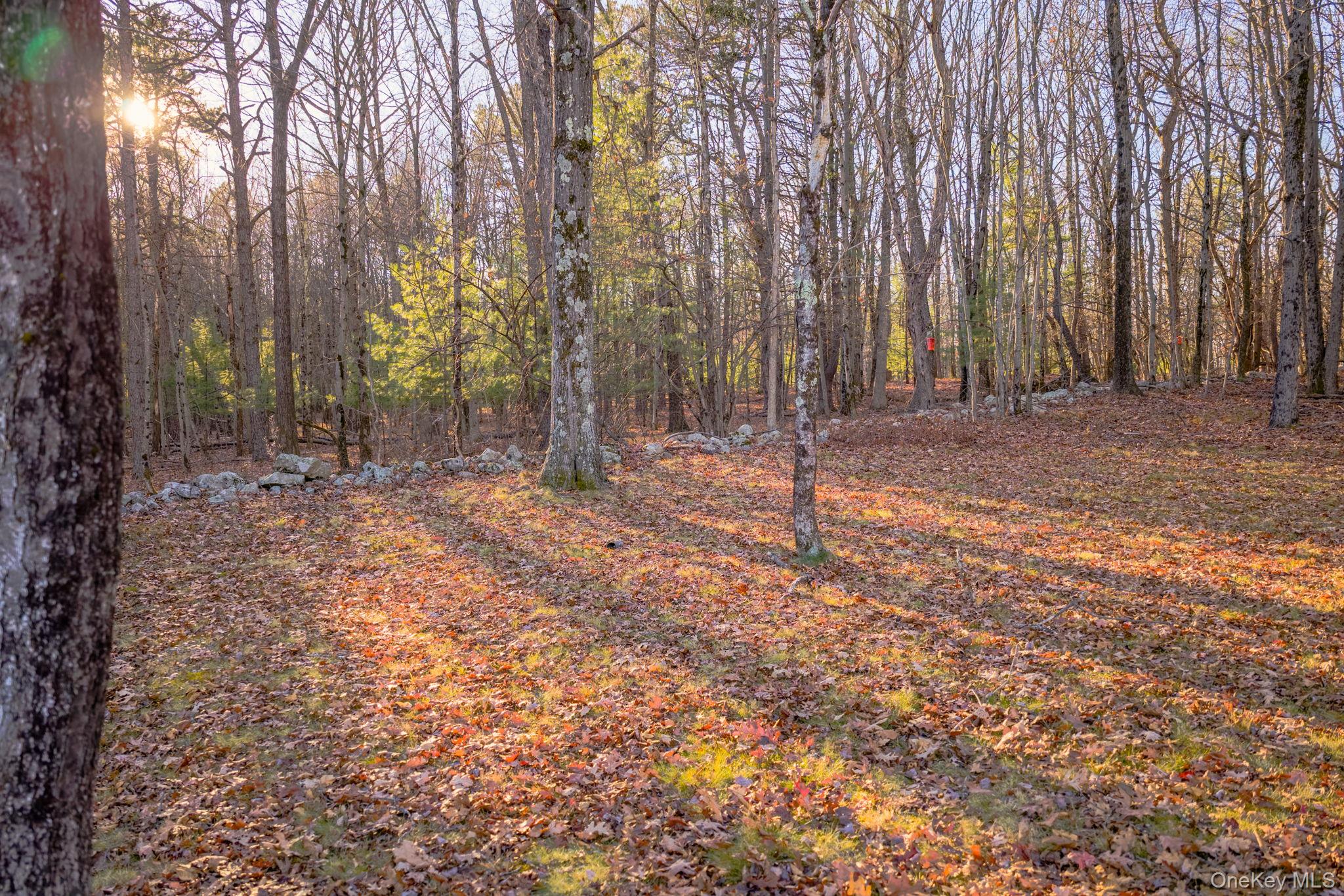 137 Highview Terrace, Bloomingburg, NY 12721