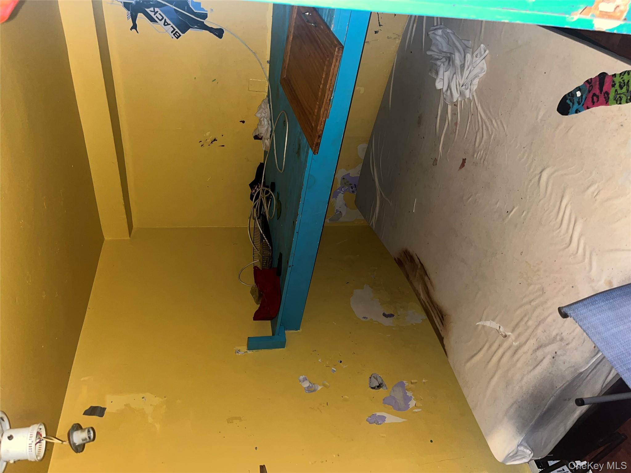 555 Hemlock Street, Brooklyn, NY 11208