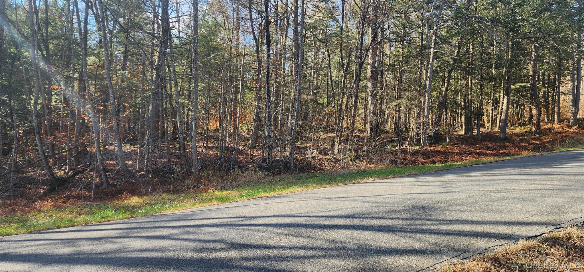 00 Hunter Road, Claryville, NY 12725