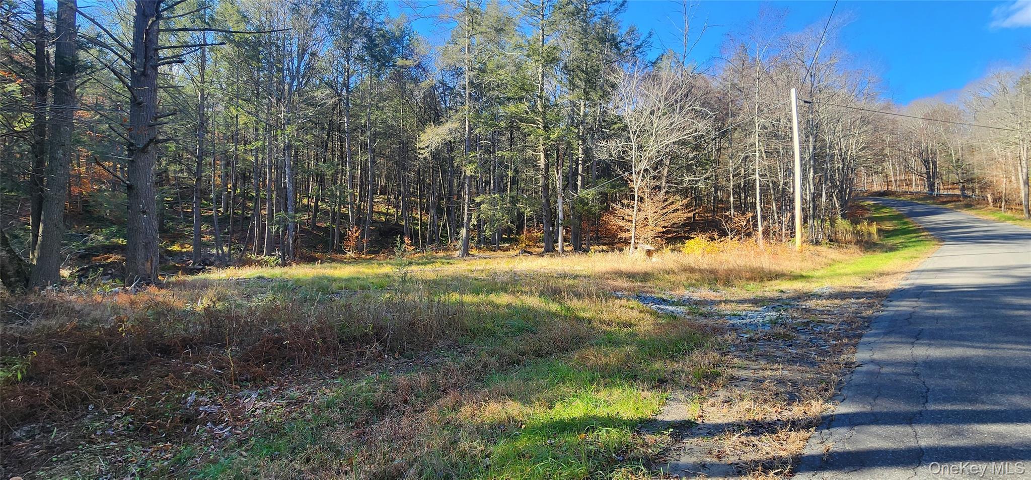 00 Hunter Road, Claryville, NY 12725