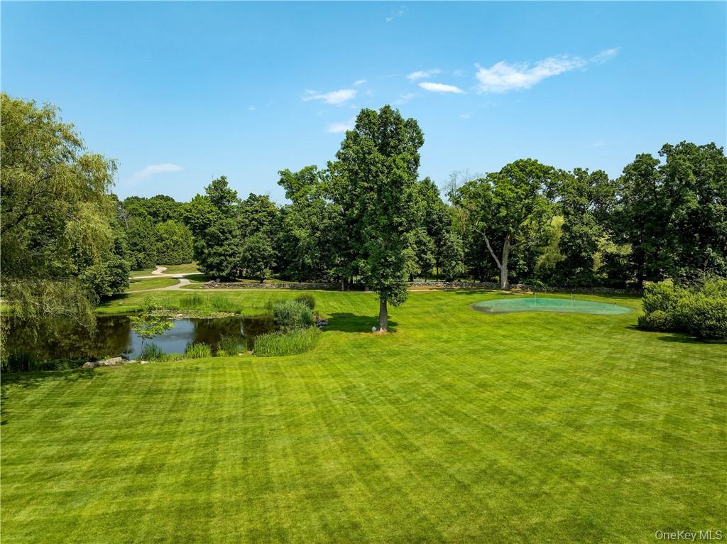 10 Meadow Lane, Purchase, NY 10577