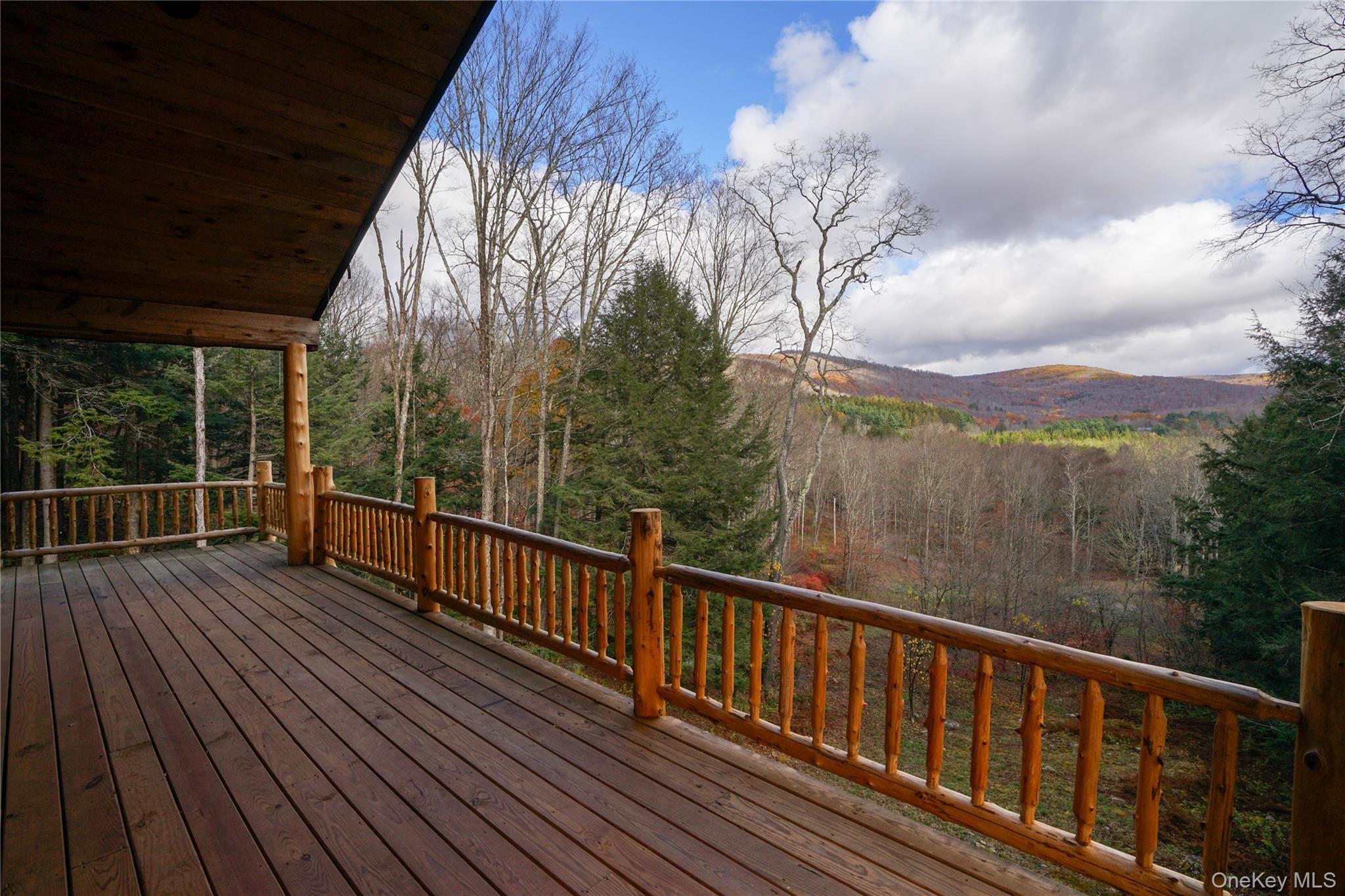 149 Craigie Clair, Roscoe, NY 12776