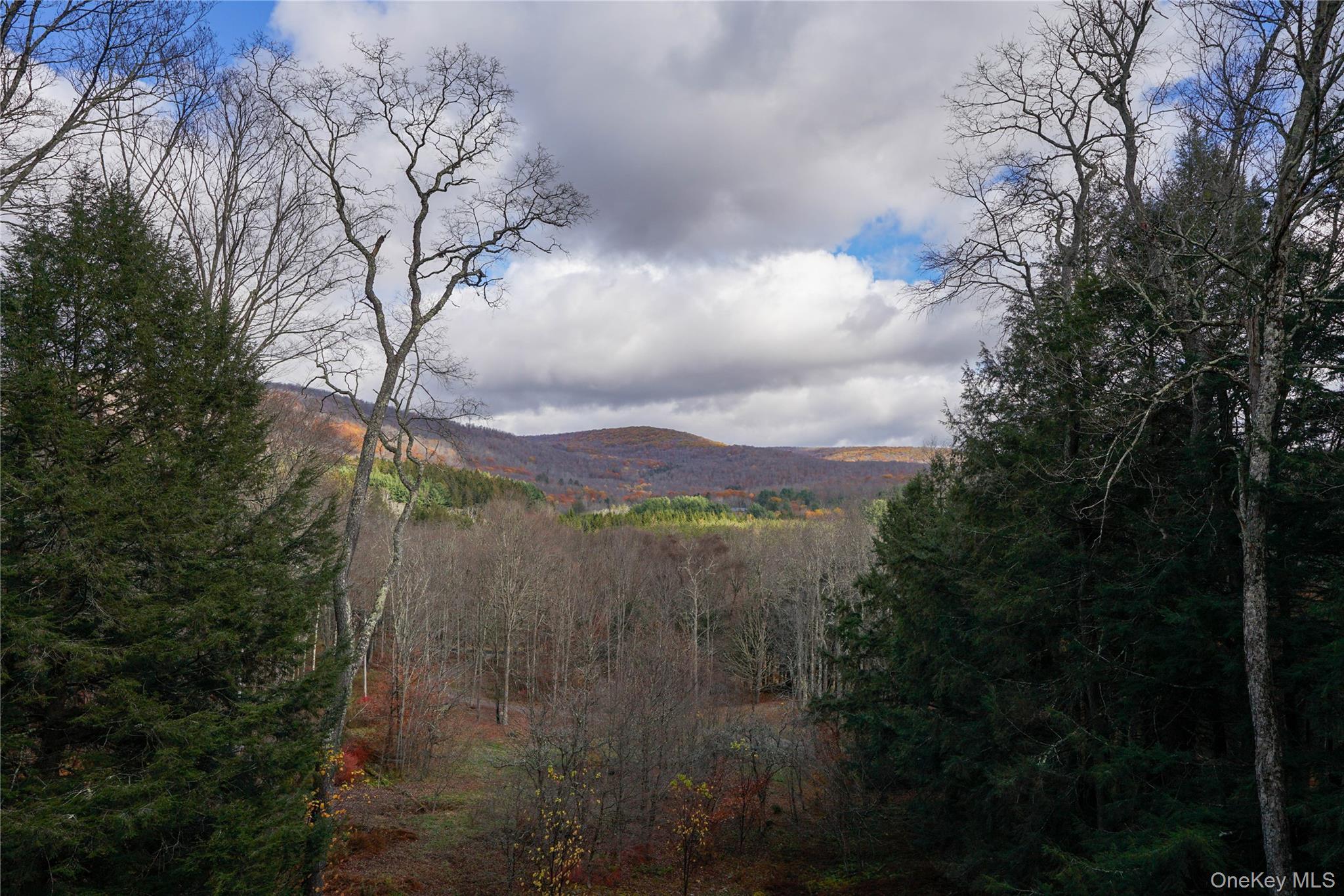 149 Craigie Clair, Roscoe, NY 12776