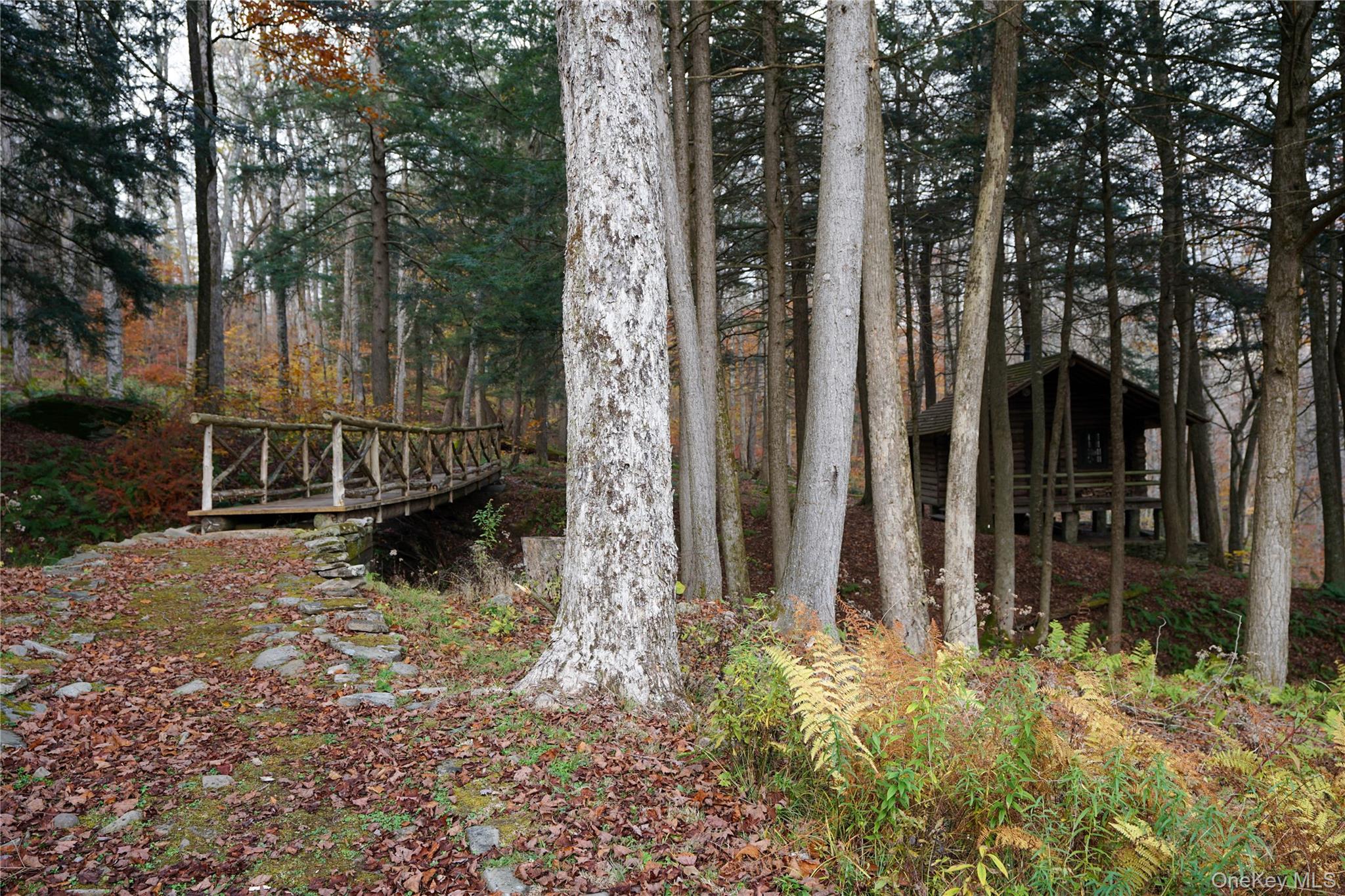 149 Craigie Clair, Roscoe, NY 12776