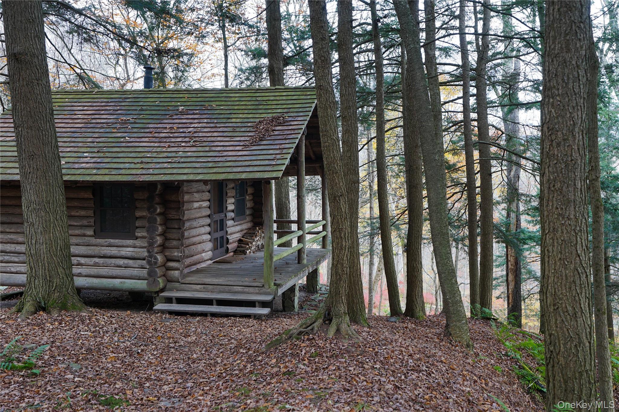 149 Craigie Clair, Roscoe, NY 12776