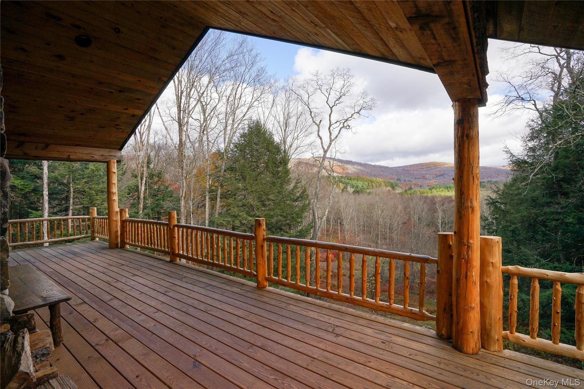 149 Craigie Clair, Roscoe, NY 12776