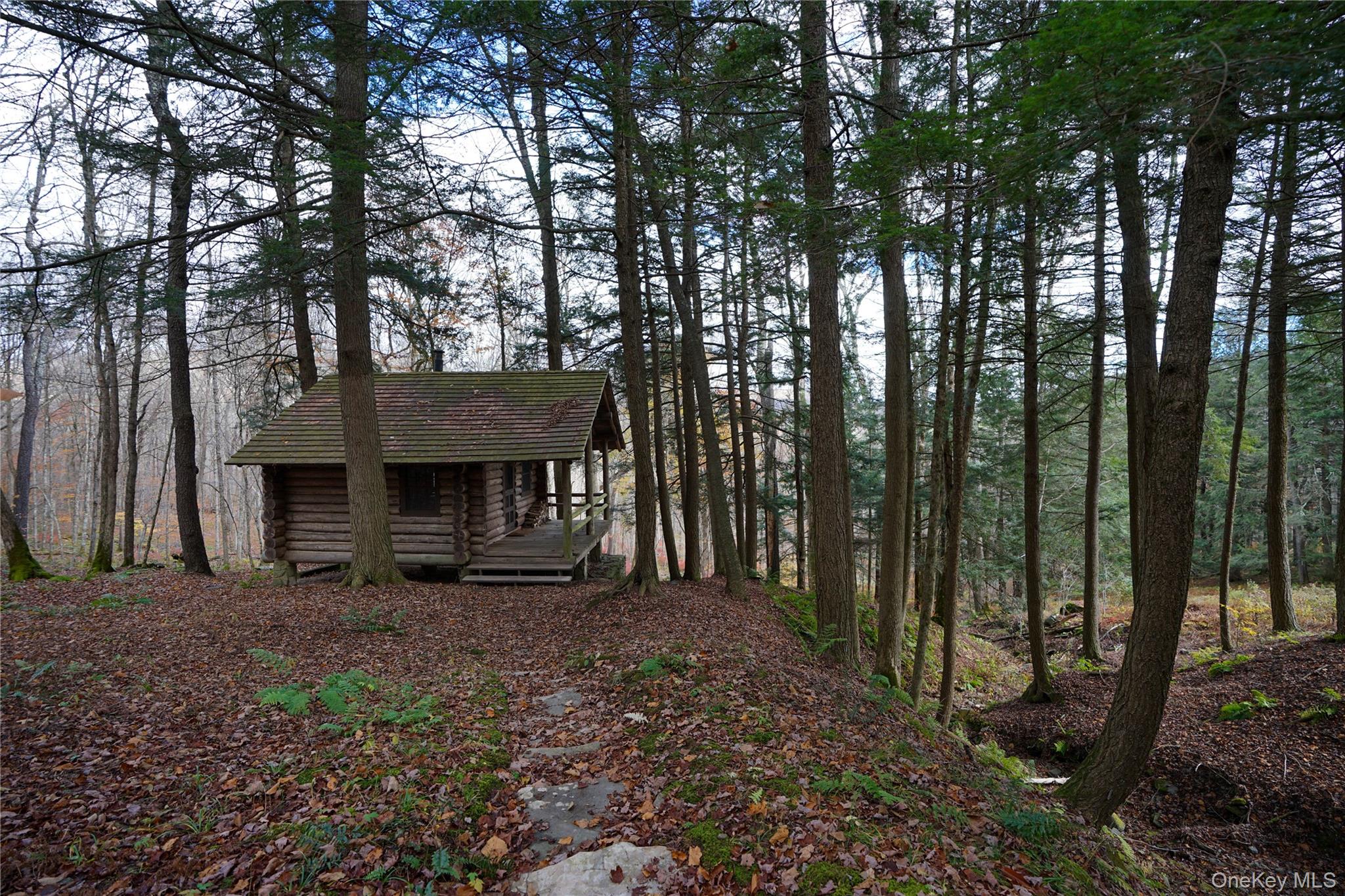 149 Craigie Clair, Roscoe, NY 12776