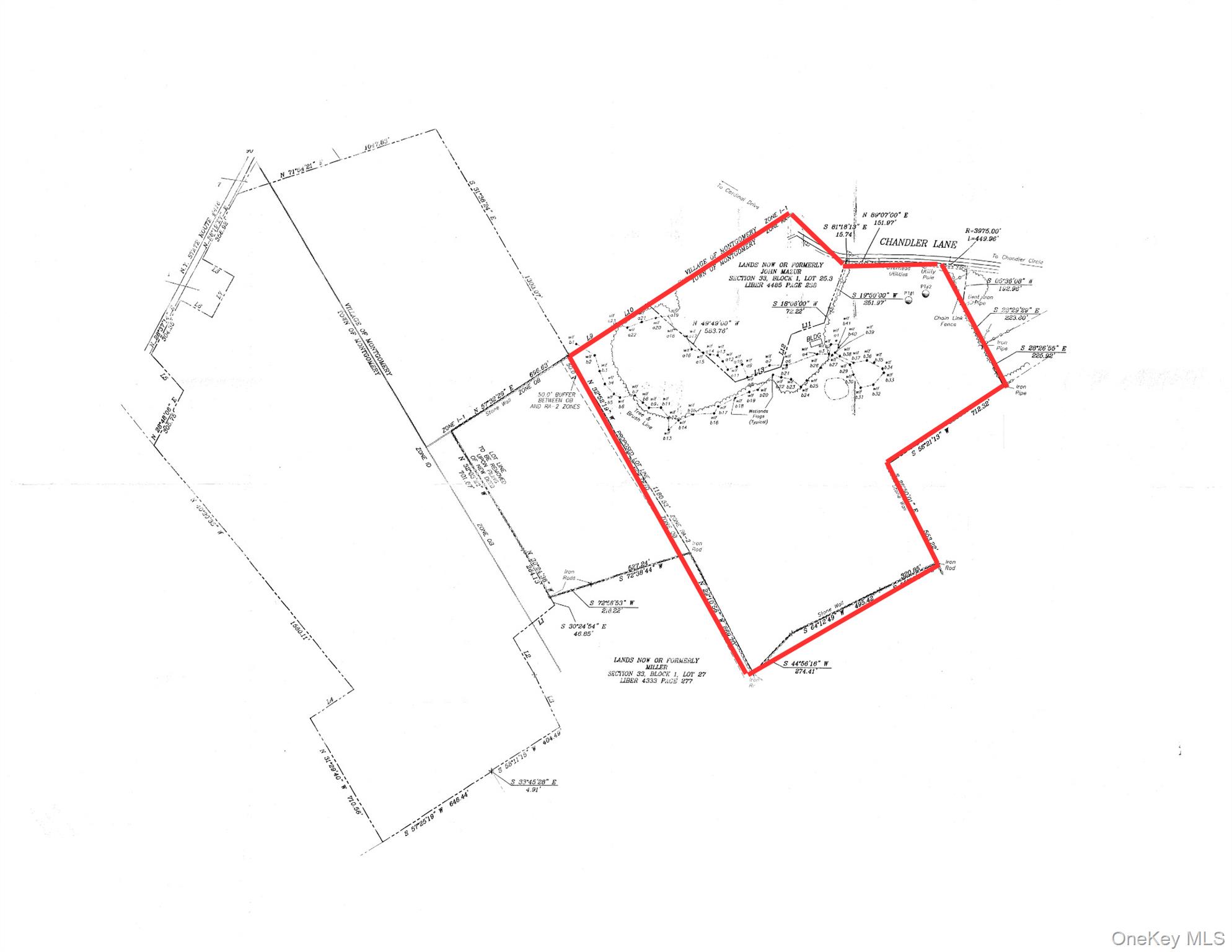 Chandler Lane, Montgomery, NY 12549