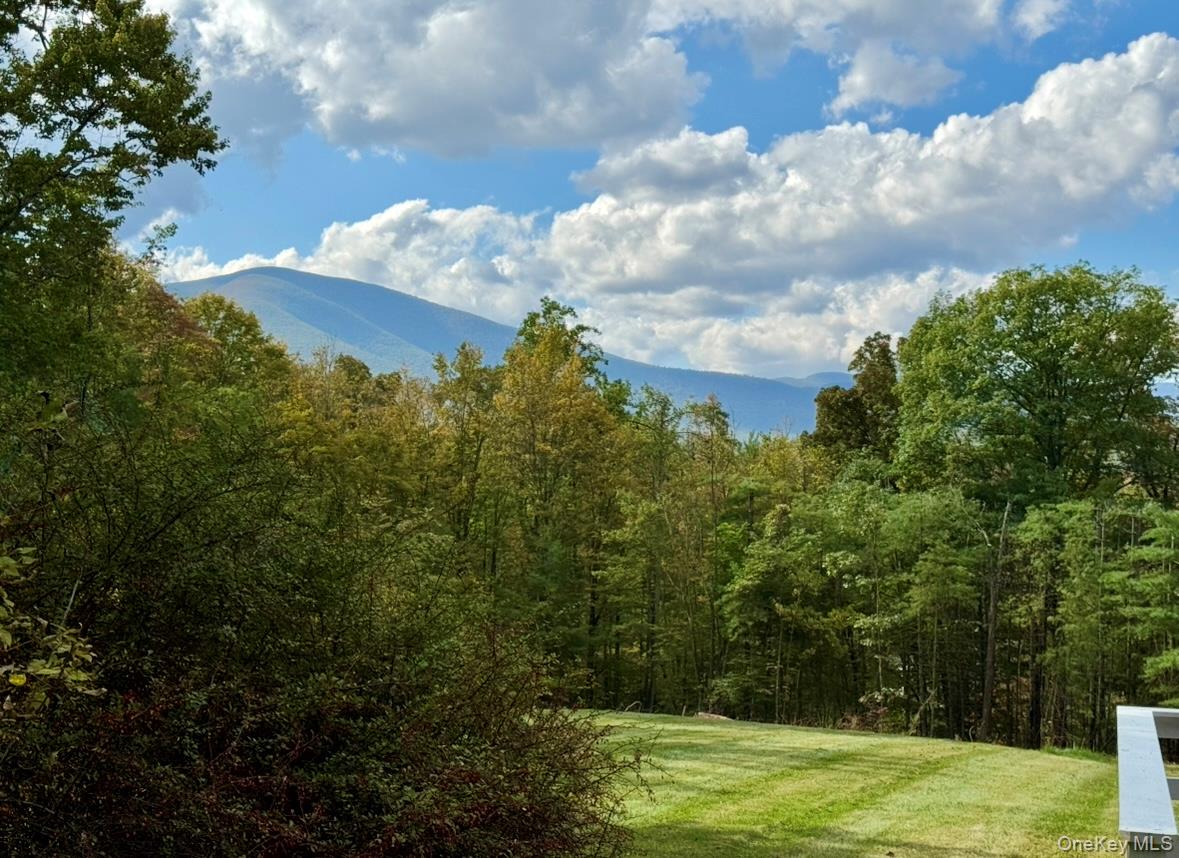 4723 State Route 213, Olivebridge, NY 12461